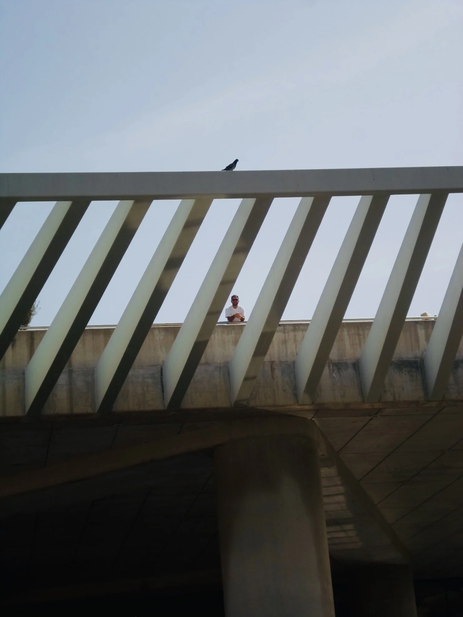 A view from beneath a bridge looking up at a person standing on the bridge and a bird perched on top of the railing, with a clear sky in the background.