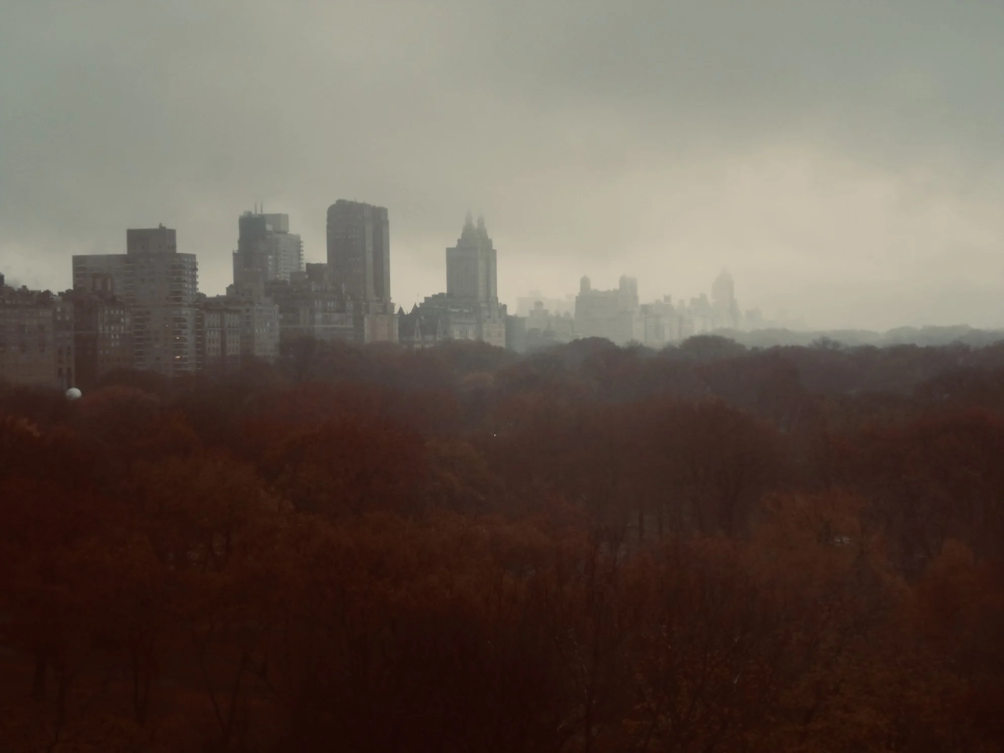 Overcast city skyline with tall buildings in the distance and red autumn trees in the foreground.
