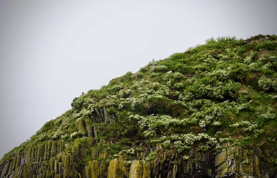 Dingle, Ireland (2026)