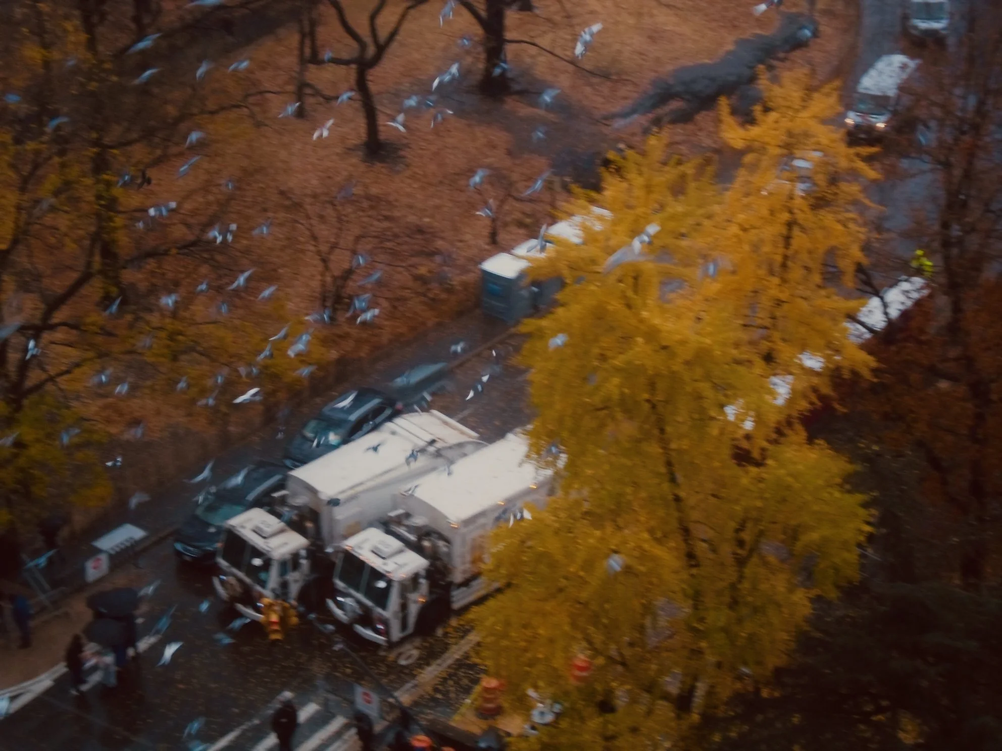 Bird's eye view of a street scene during autumn with yellow and orange trees, parked cars, fire trucks, and a flock of birds flying overhead.
