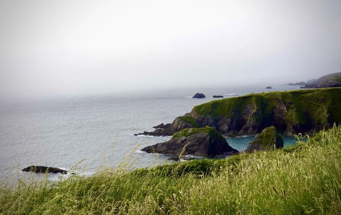 Dingle, Ireland (2026)