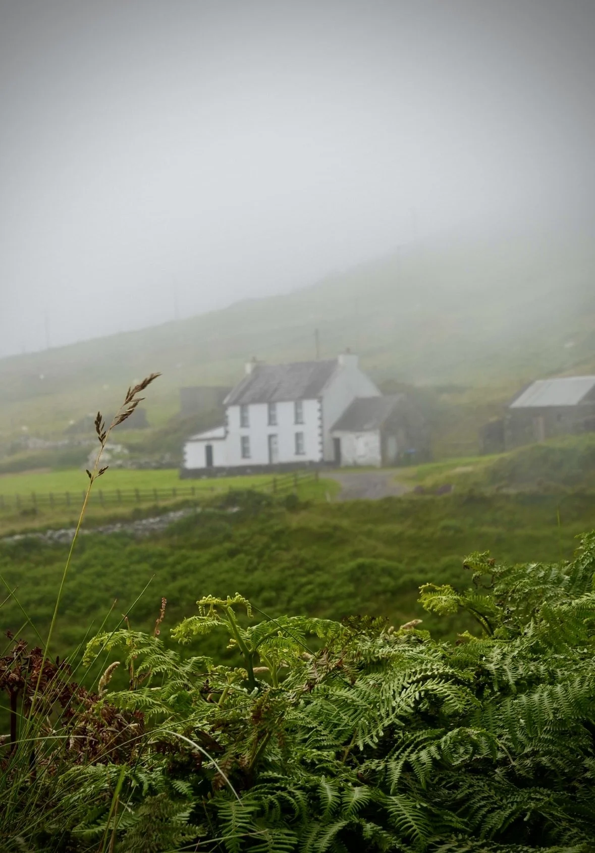 Dingle, Ireland (2026)