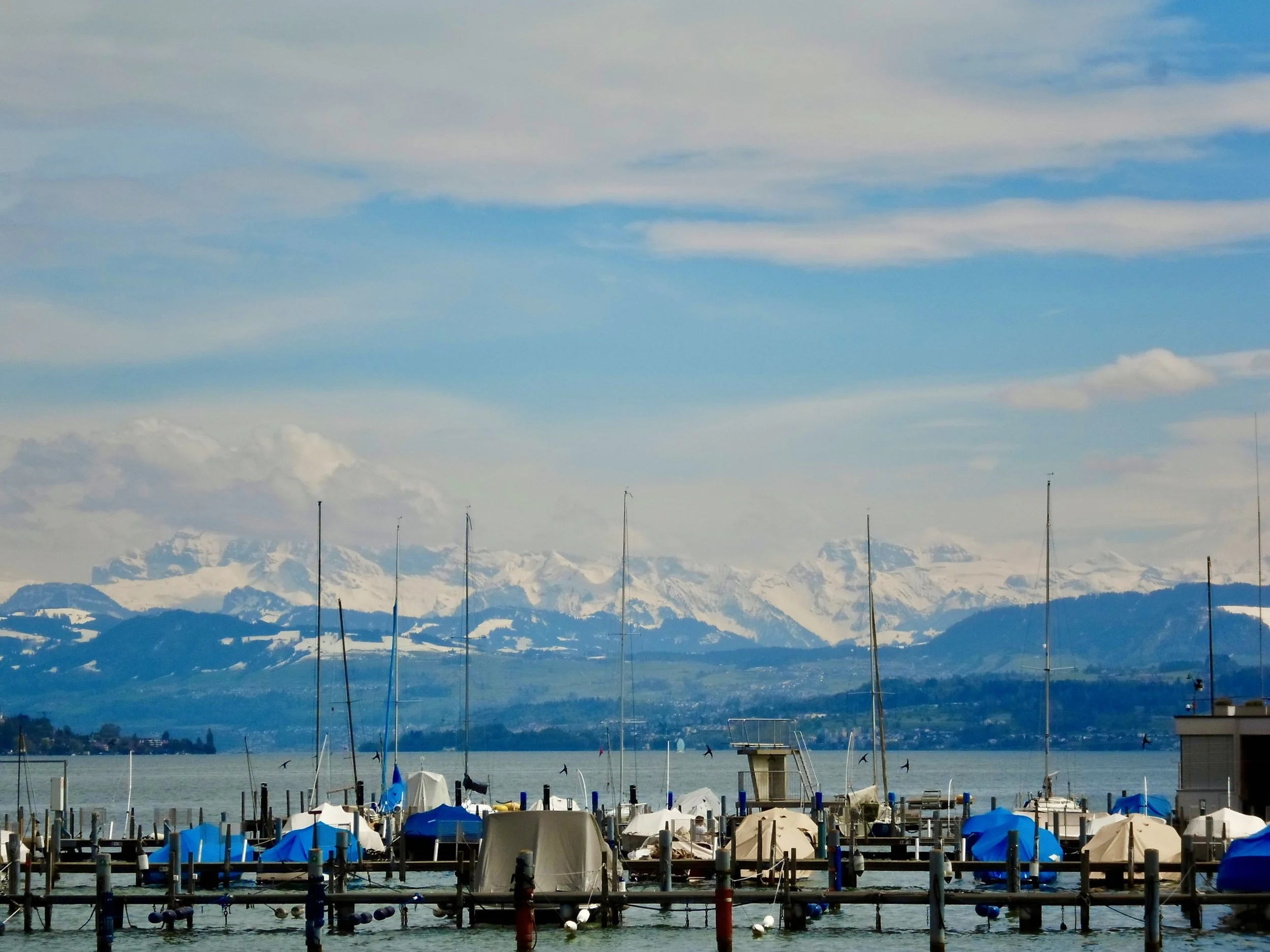 A harbor with sailboats docked at piers, mountains with snow-capped peaks in the background, and a partly cloudy sky overhead.