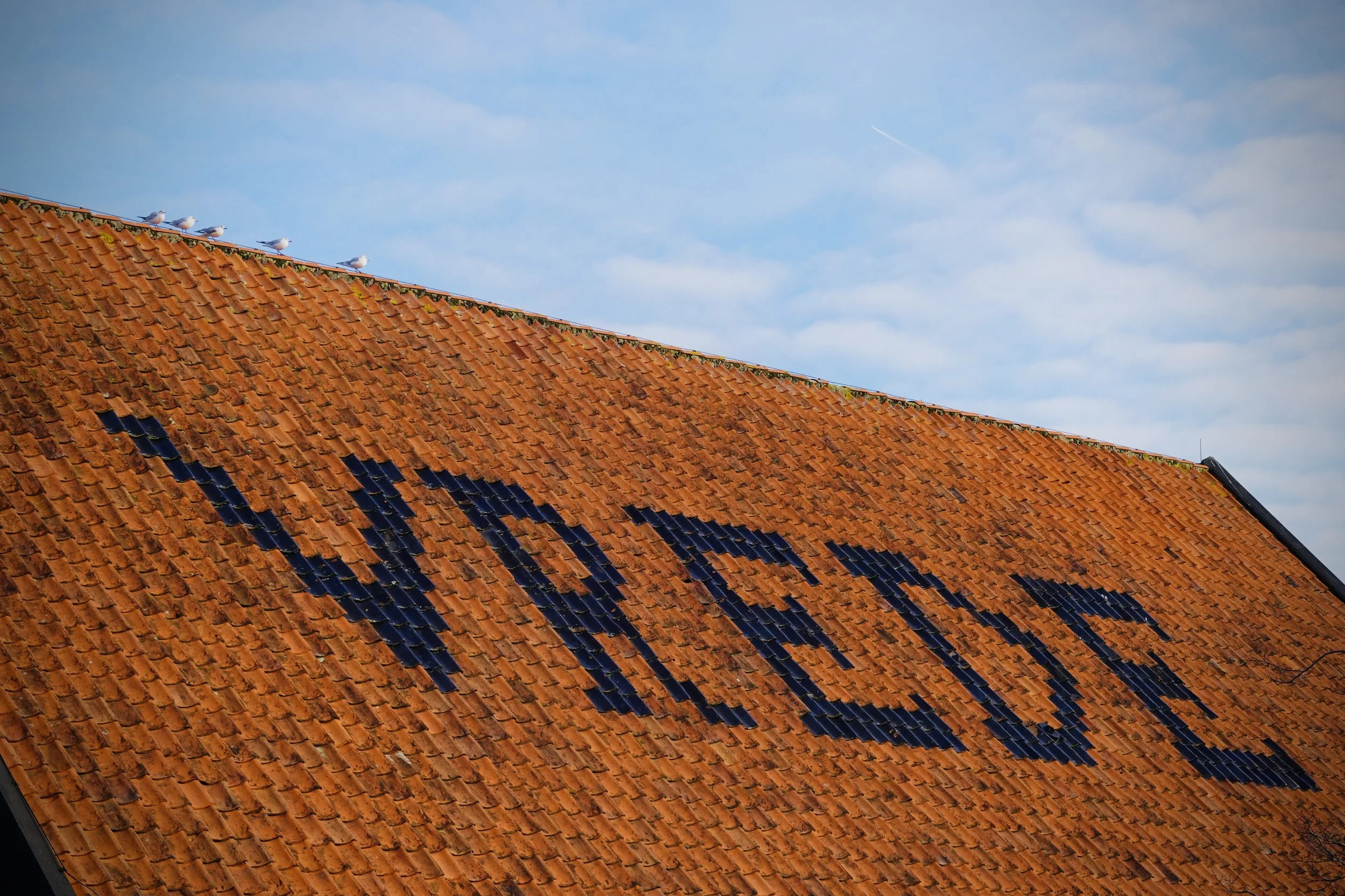 Close-up of a red tiled rooftop with the word Coind in large blue letters formed from solar panels, against a blue sky with scattered clouds and a few seagulls perched on the roof edge.