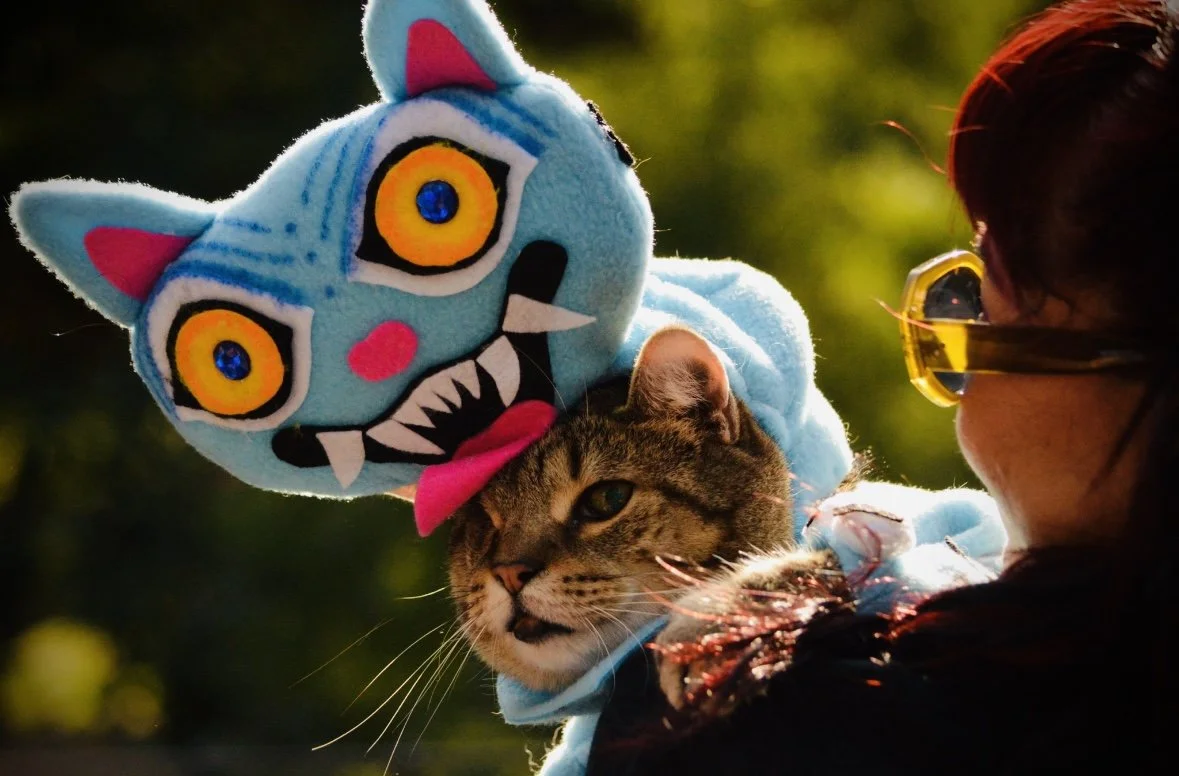 tompkins square dog parade (2025)