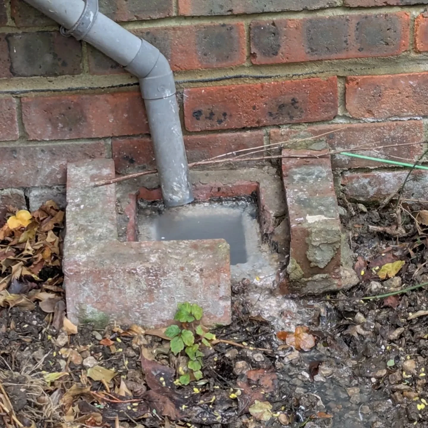 Defender Plumbing &amp; Drainage &ndash; Ascot
Today&rsquo;s job: blocked kitchen gully completely clogged with cooking fat.

Cleared, flushed and tested all the way through to the inspection chamber &ndash; now running free and preventing future sme