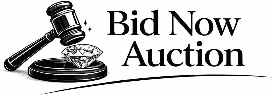 Bid Now Auction