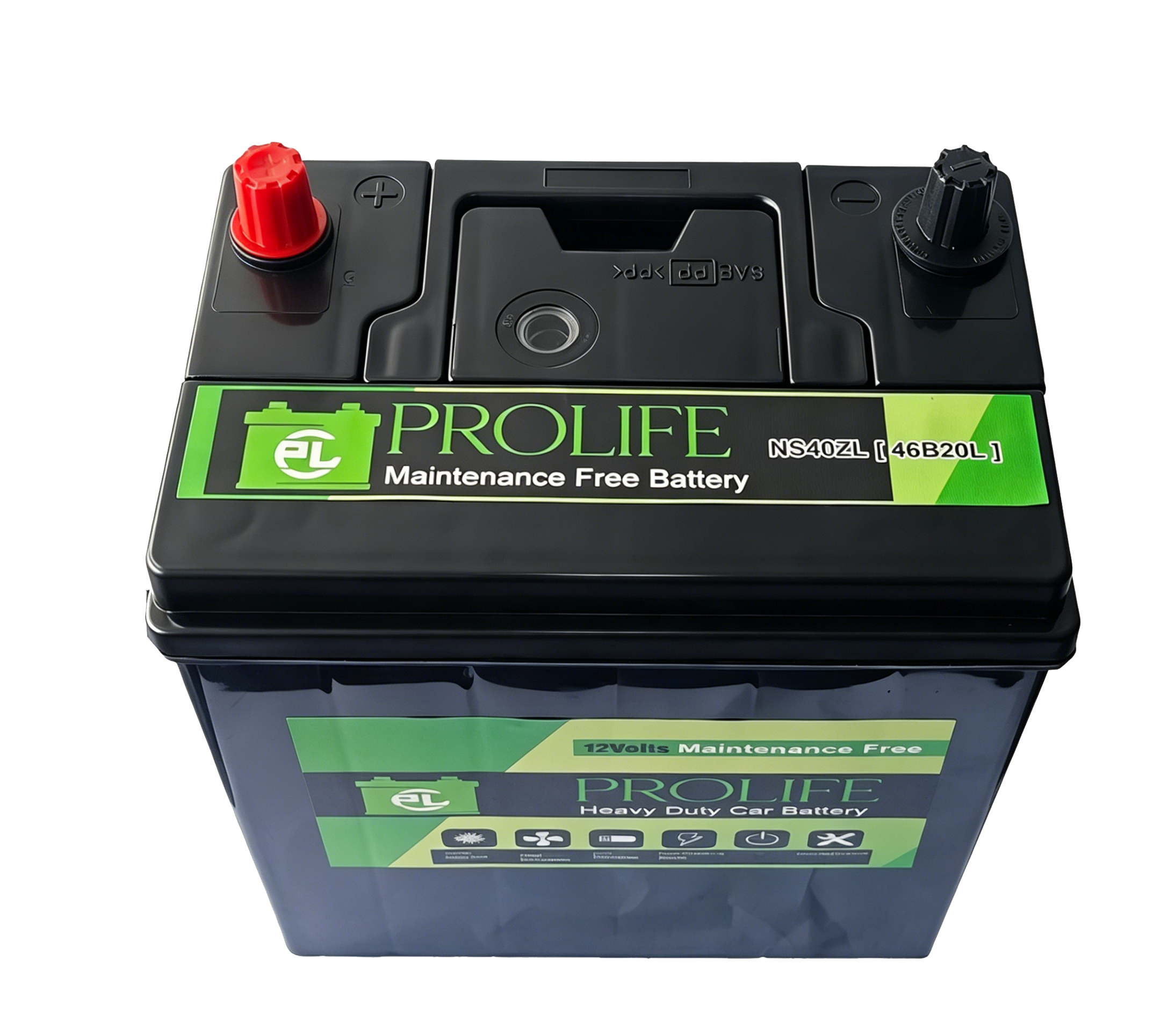 PROLIFE-NS40ZL-VIN-BATTERY.png