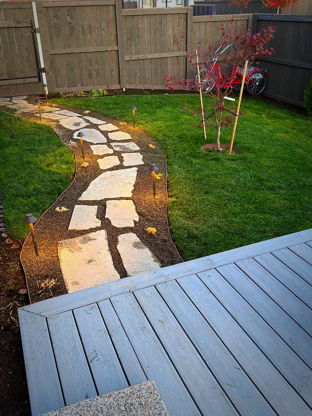 A backyard with a curved stone pathway, garden lights, a small tree with red leaves.