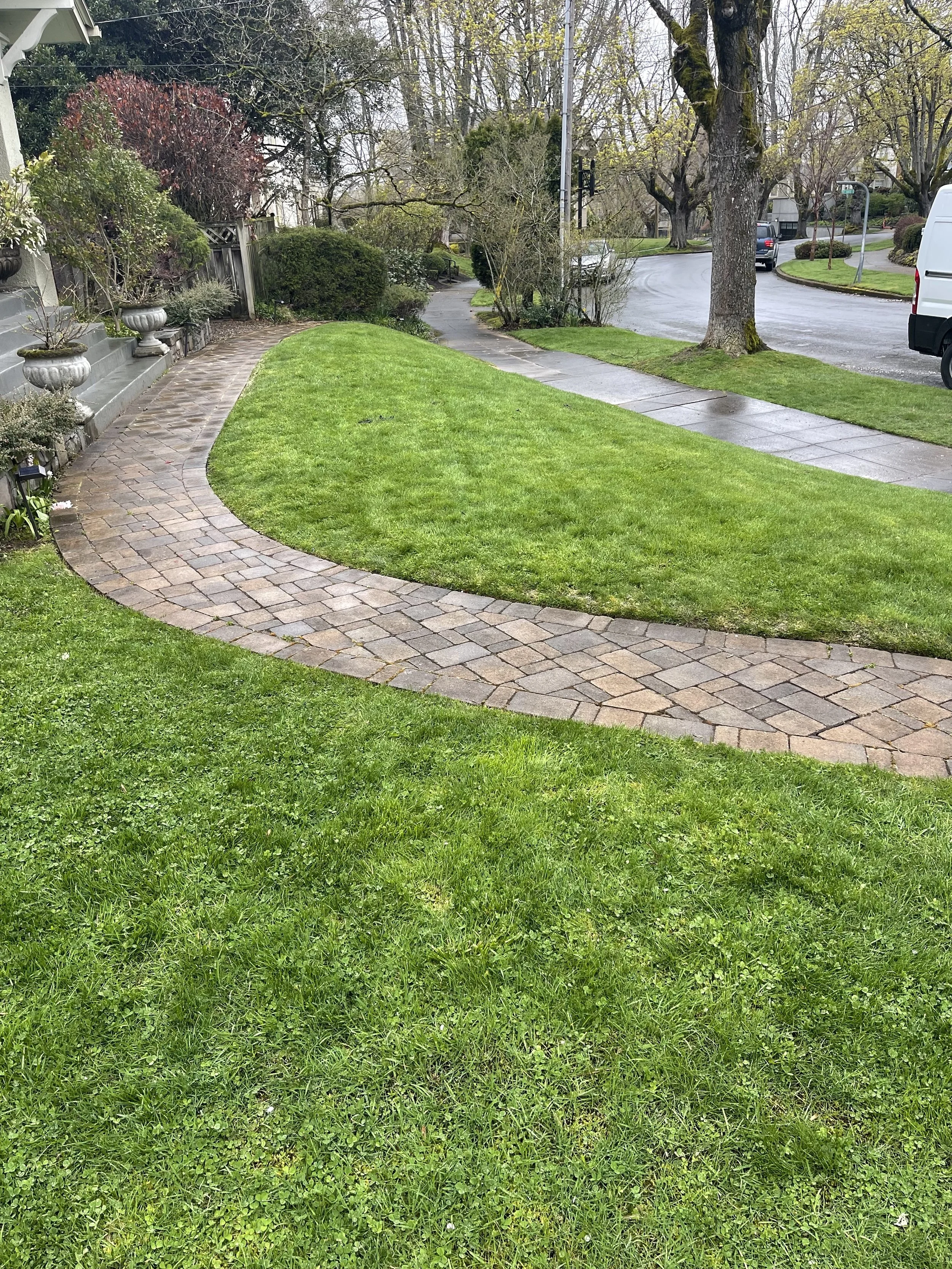 Residential front yard with a curved brick walkway, green grass, trees, shrubs, and a sidewalk along a wet street in a neighborhood.