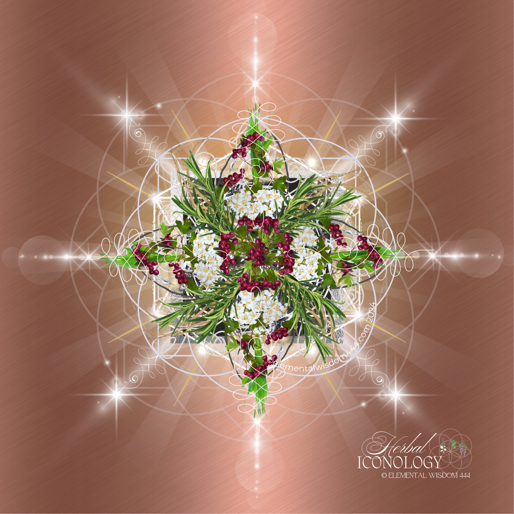 Cardiovascular Support Herbal Iconology