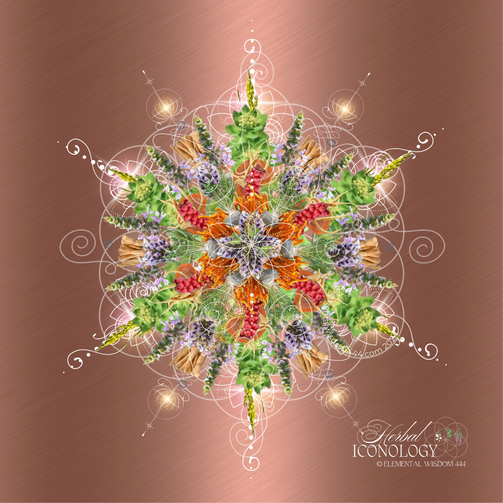 Adrenal Support Herbal Iconology©