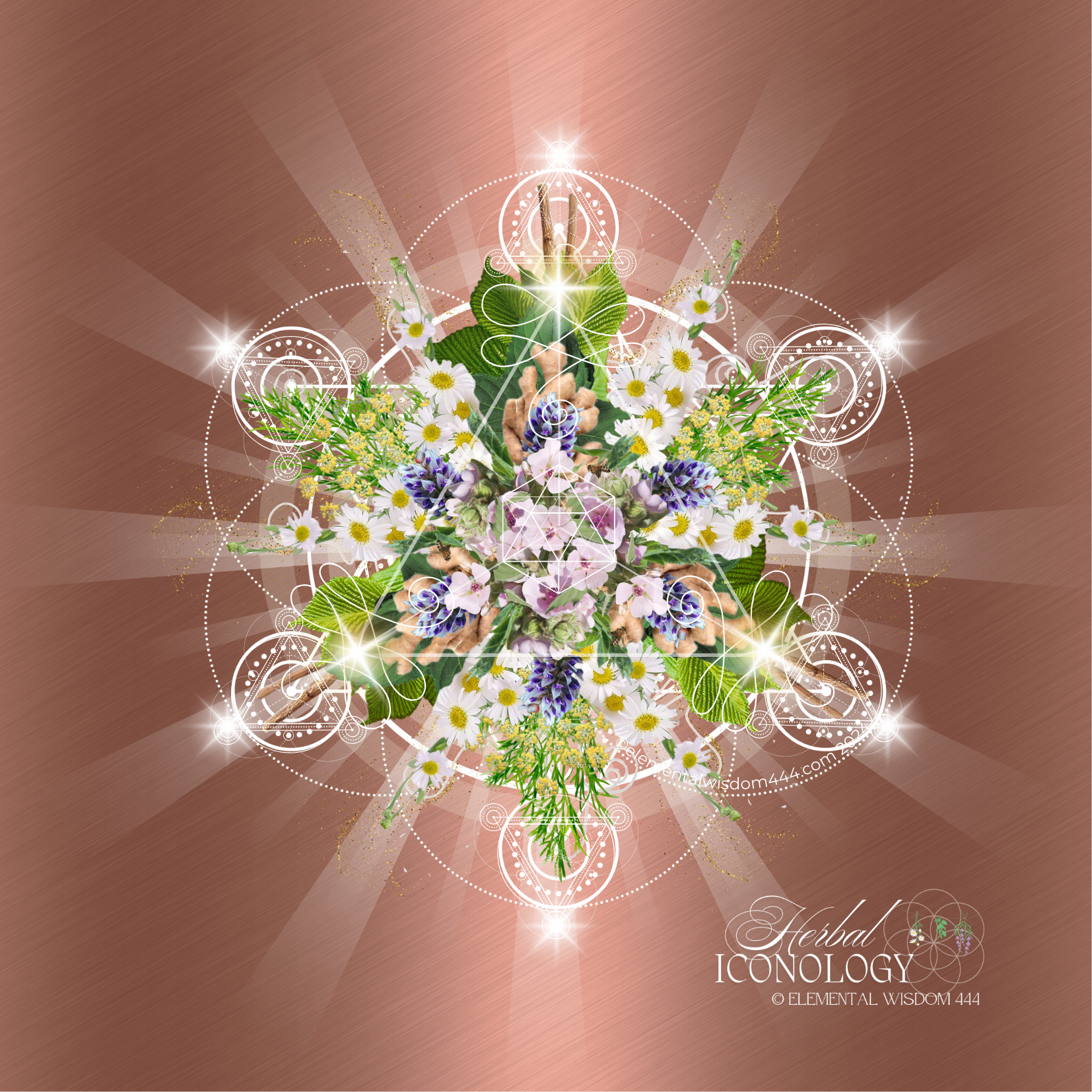 Digestive Support Herbal Iconology