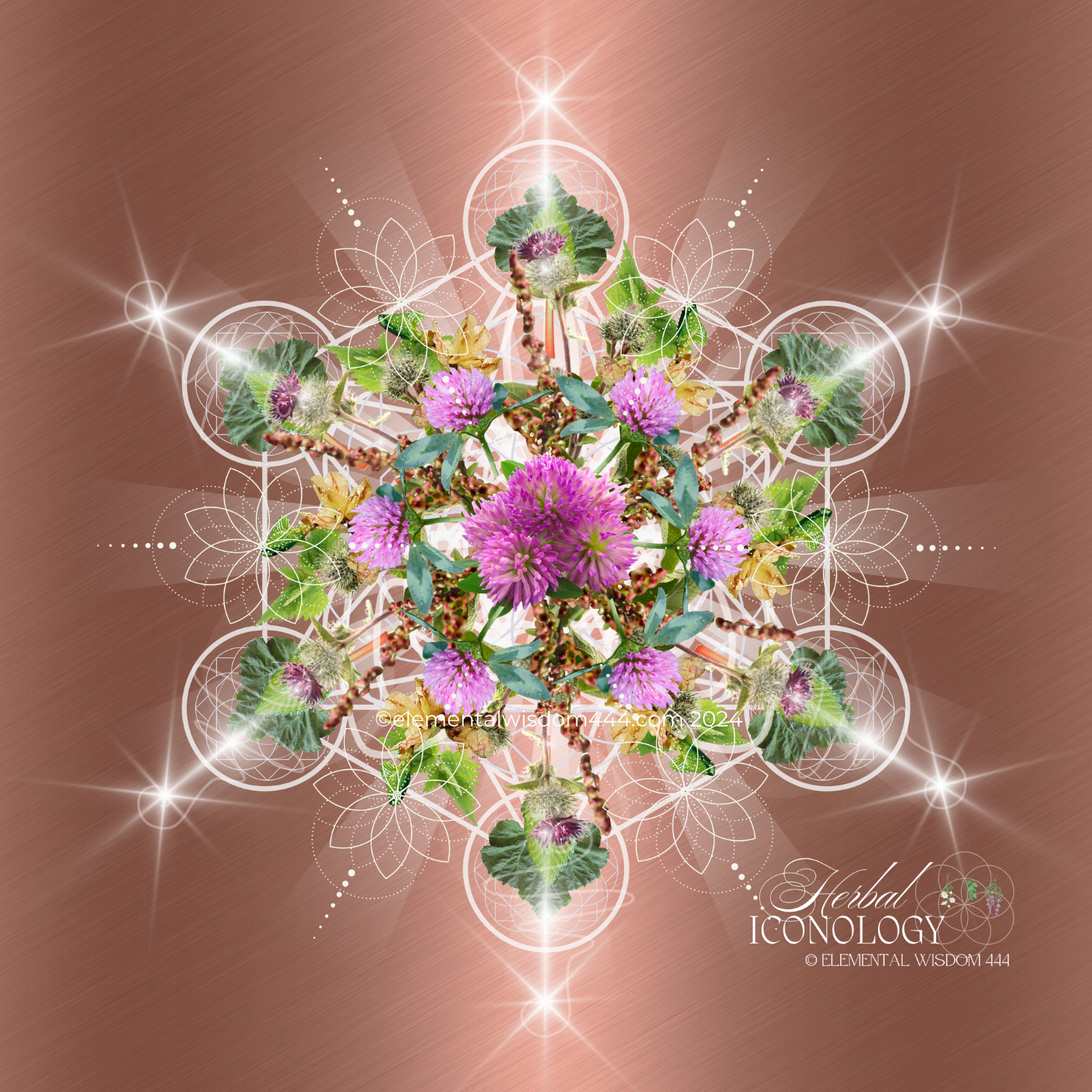 Deep Cellular Detox Herbal Iconology ©