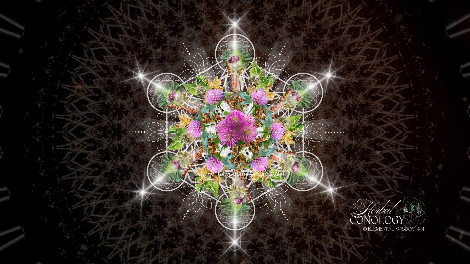 Deep Cellular Detox Herbal Iconology for Energetic Renewal .jpg