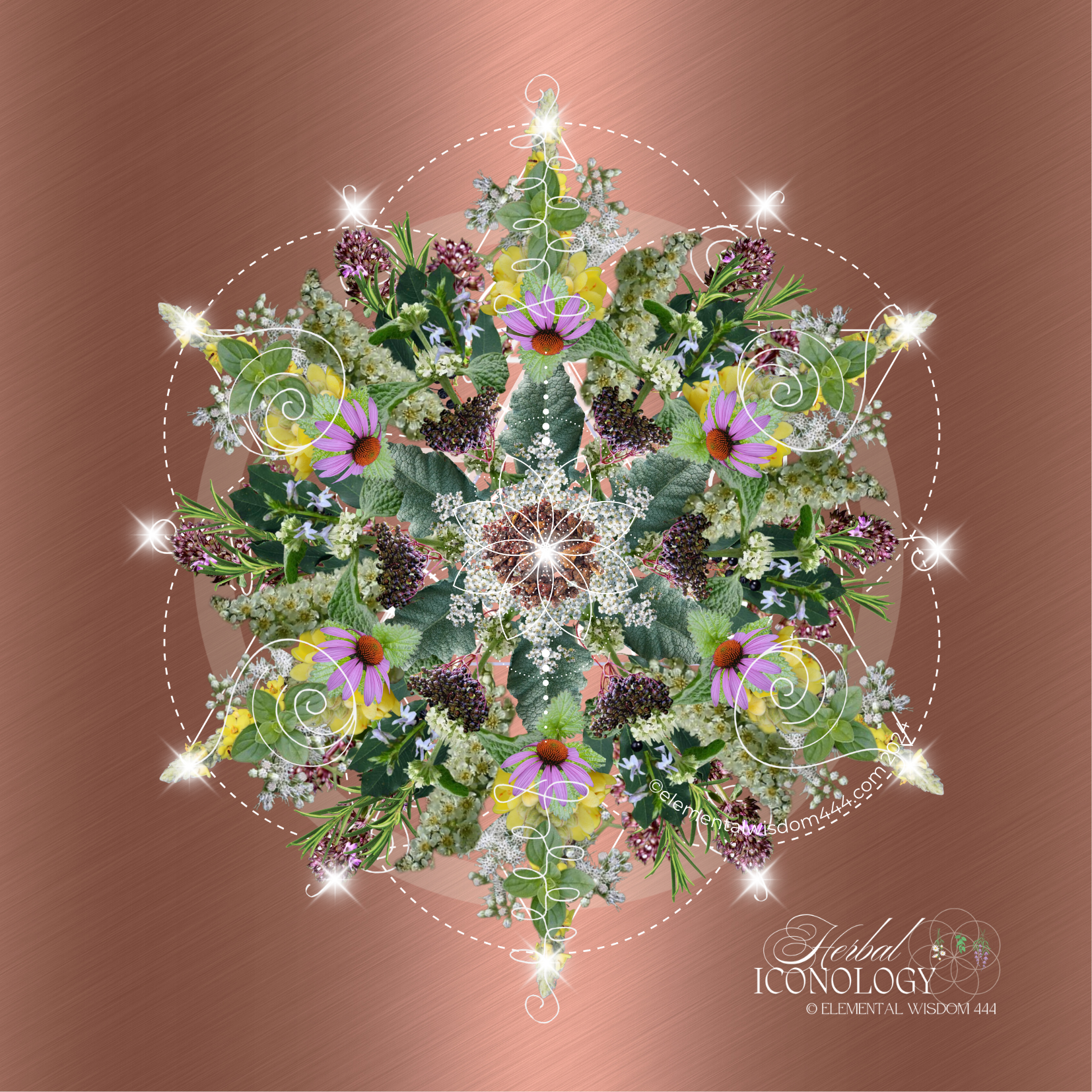 Clear Lungs - Respiratory Wellness Herbal Iconology ©