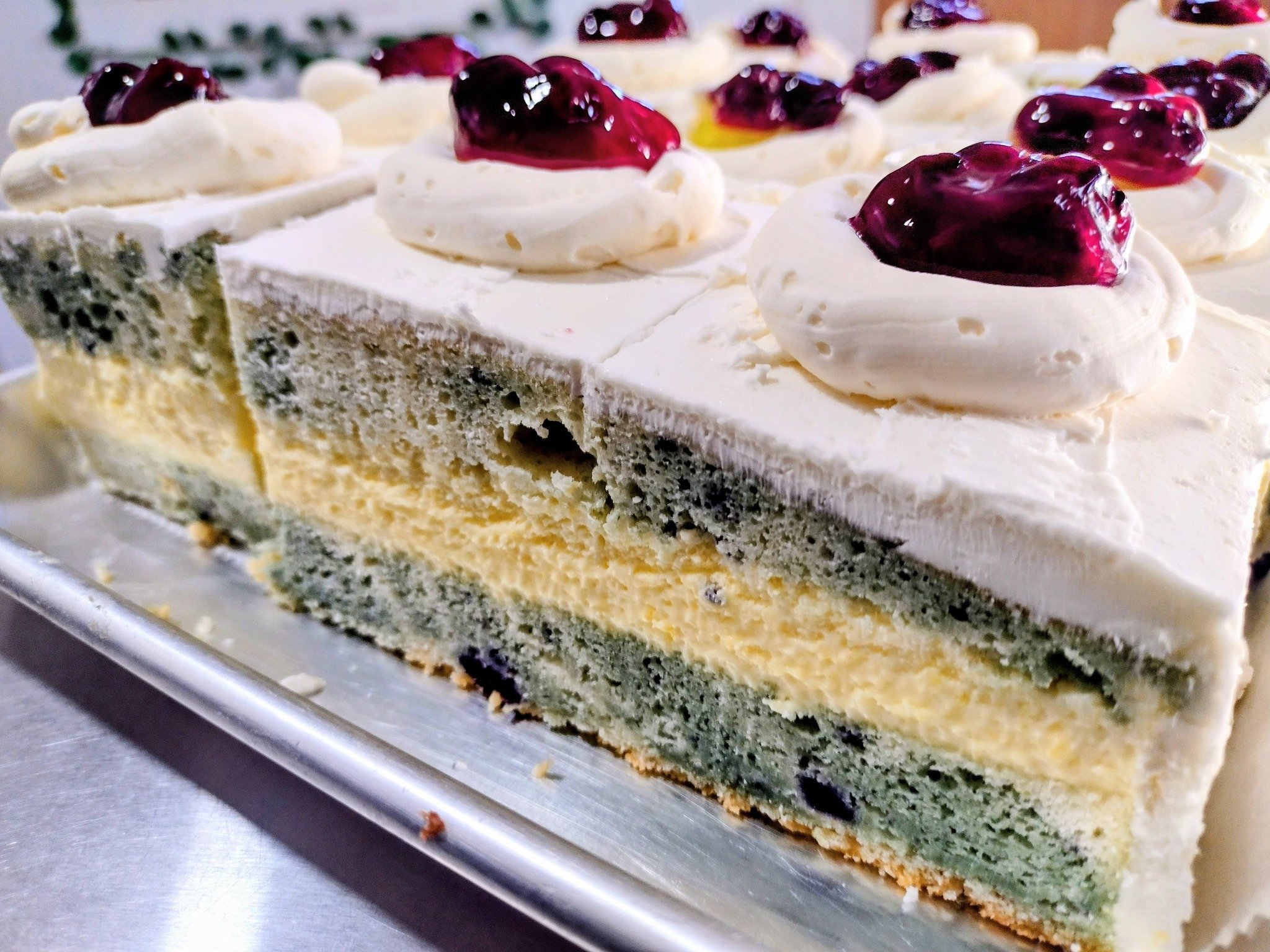 Our Bluberry Lemon "Zesty Bsetie"