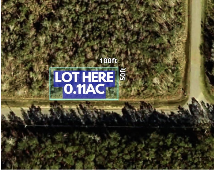 Screenshot 2026-02-06 at 2.09.09 PM.png