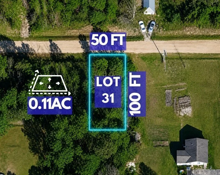 demetrio lot1.jpg