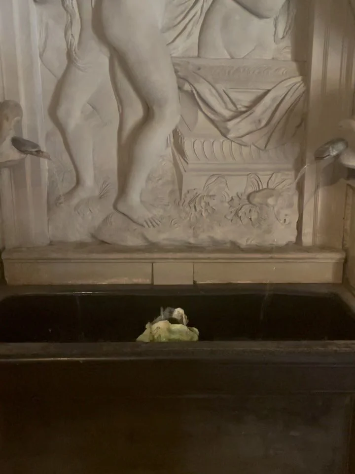 Taking a moment to appreciate the surroundings&mdash;pause, listen, and feel. I immensely enjoy the English countryside and always come back with many inspirations. I shall move there one day. 😌

I hope you can pause sometimes and truly be present&m