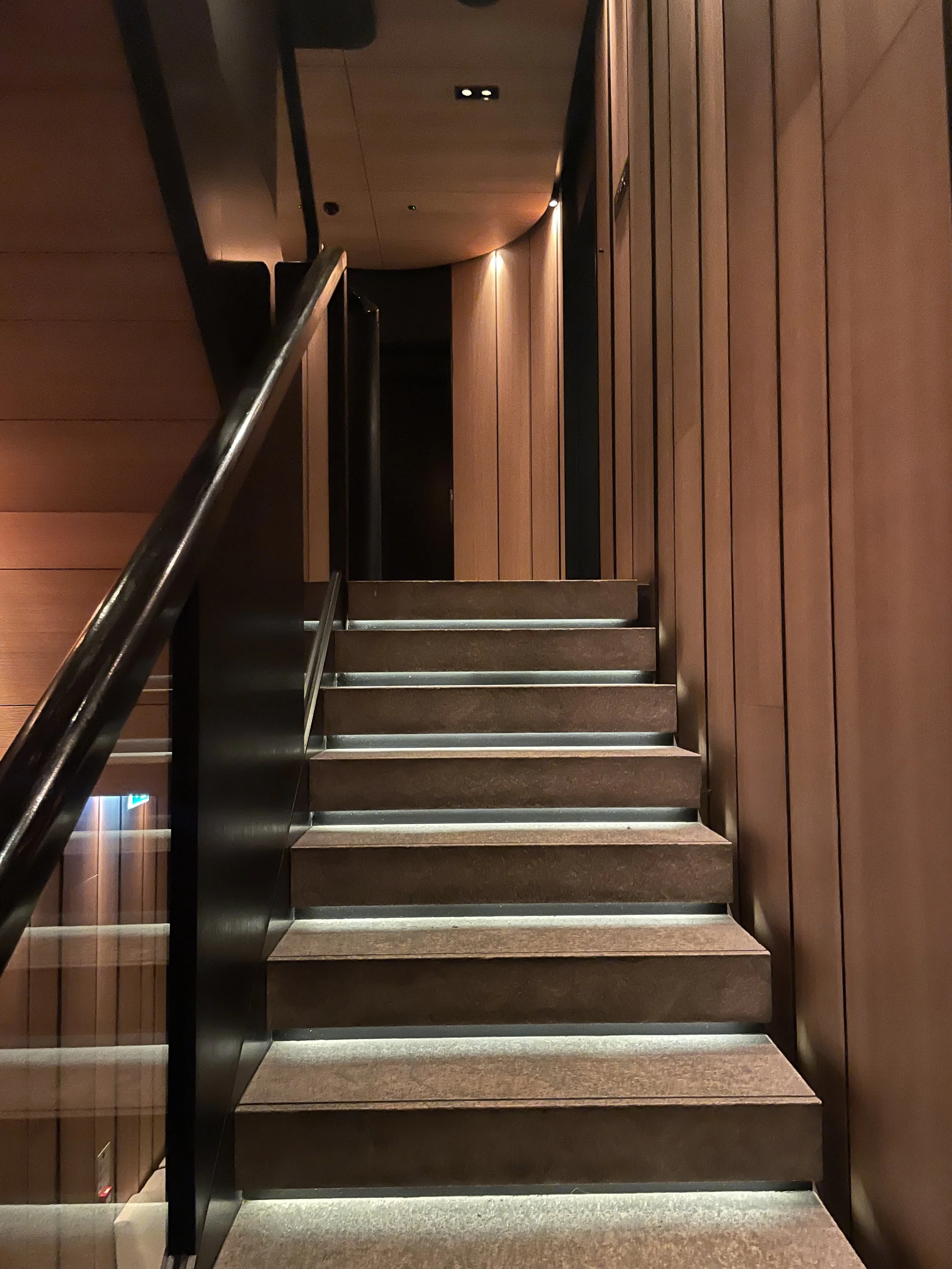 Indoor staircase with brown carpeted steps, black handrail, and wood-paneled walls, leading to a dark corridor.