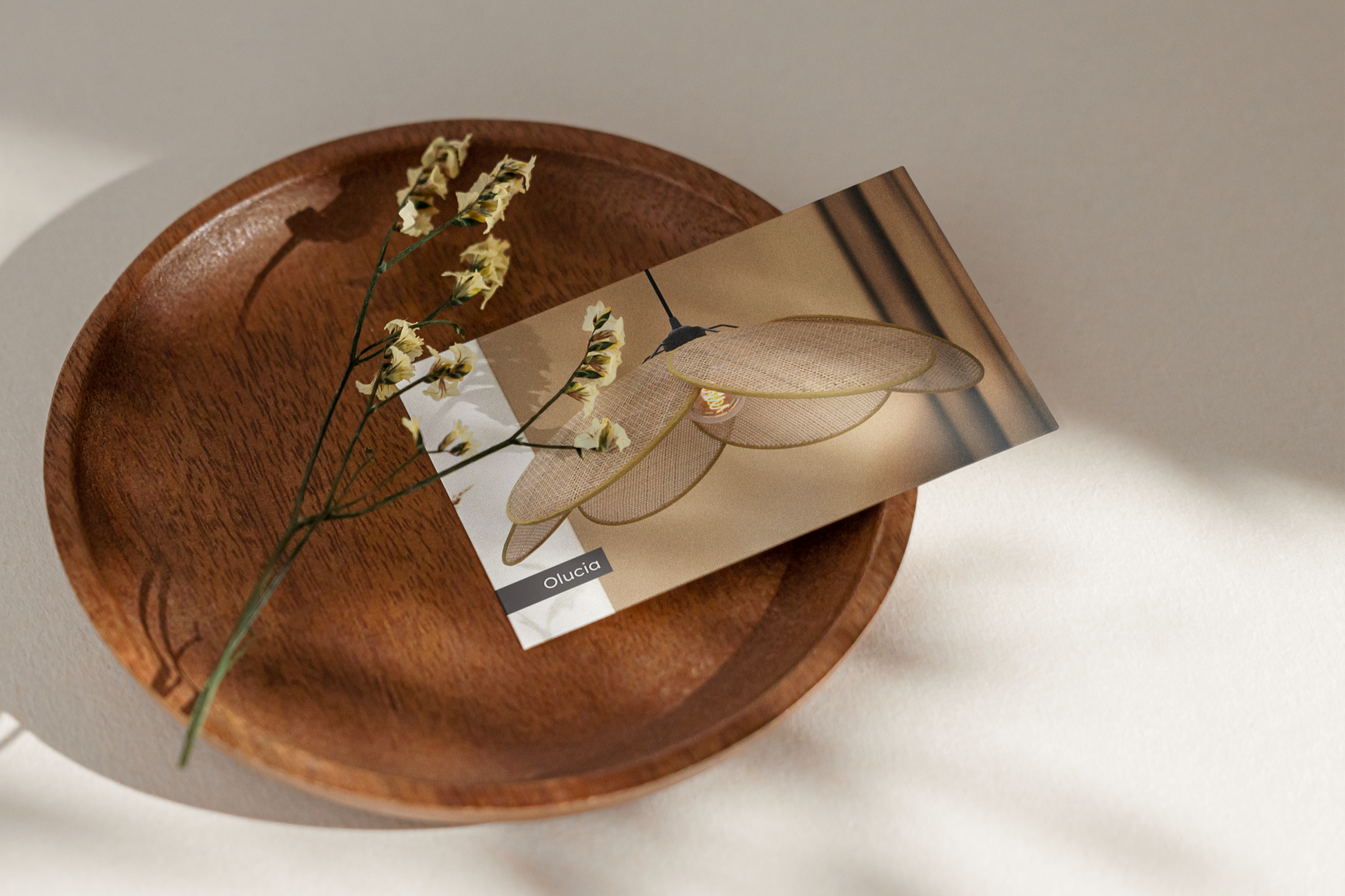 Branding: Olucia Look&Feel