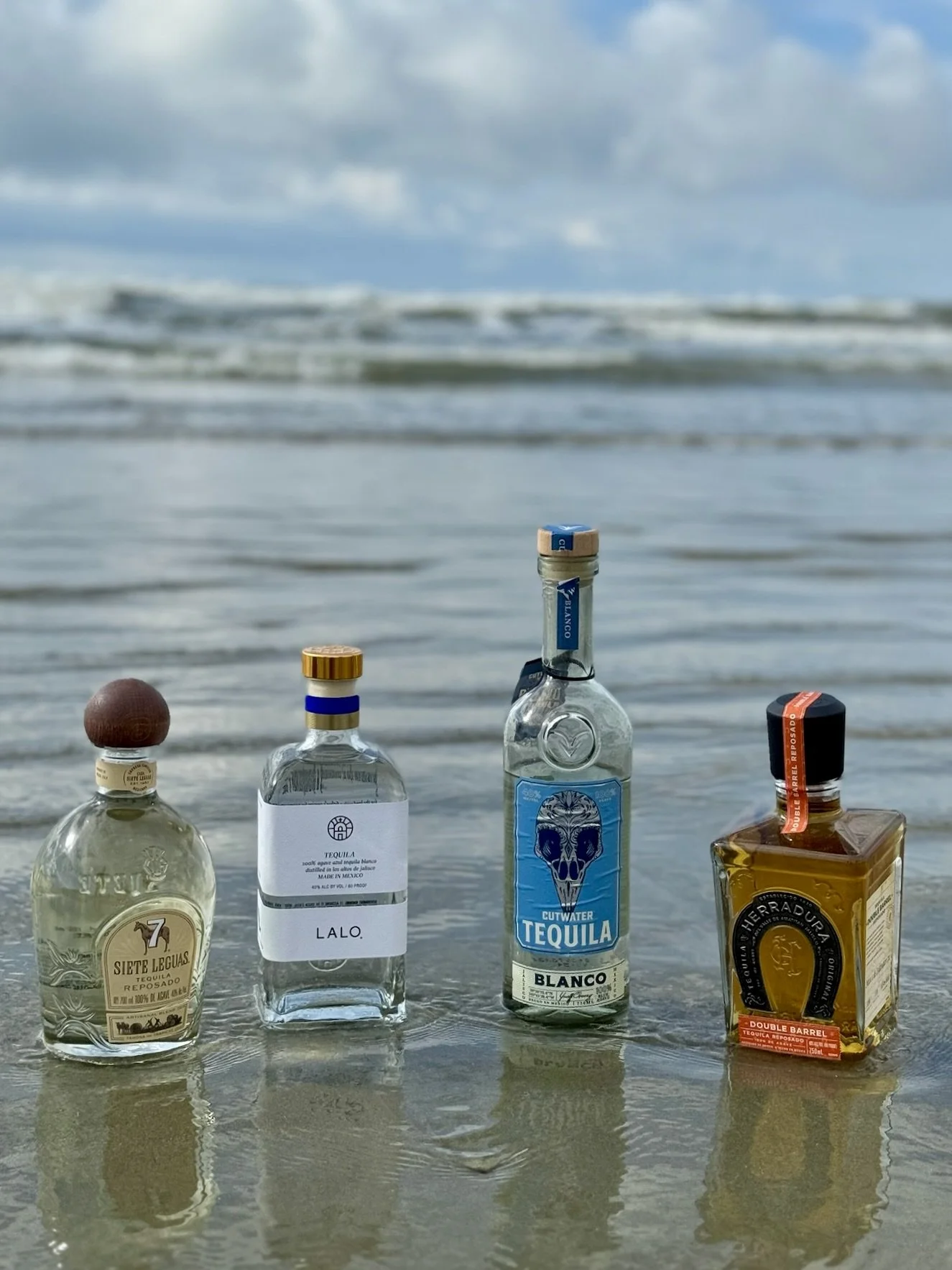 Mex 1 Coastal Cantina | Marketing Coordinator