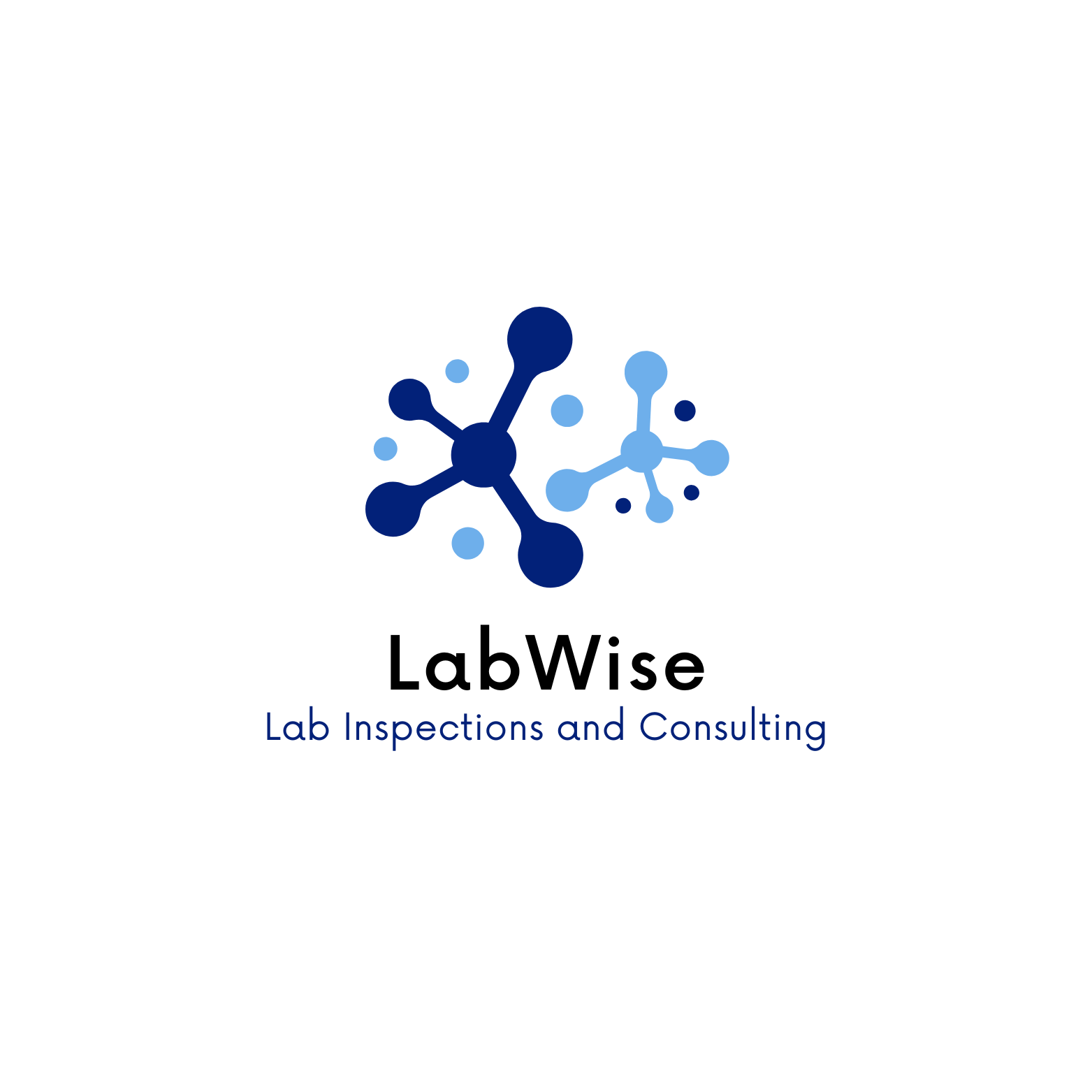 LabWise Lab Inspections and Consulting | Branding & Business Development
