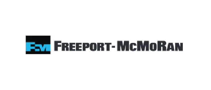 Close-up of a logo for FVM.