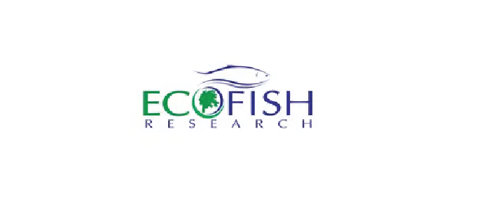 Logo for Eco Fish Research with a stylized fish and tree.