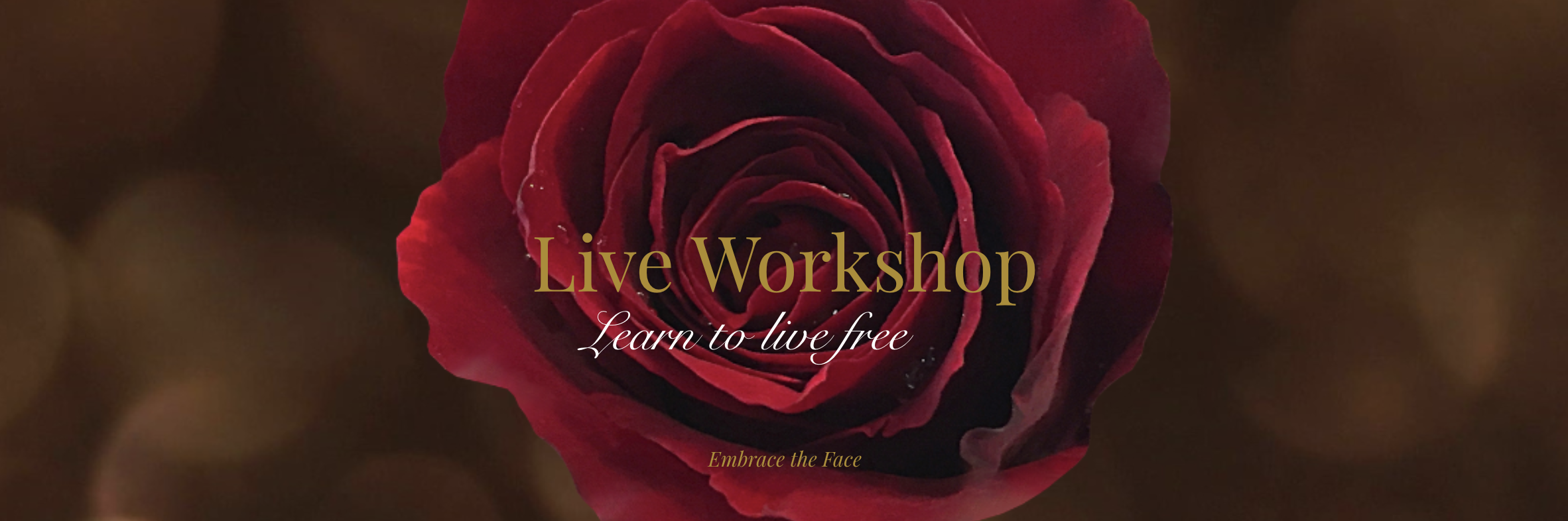 Screenshot 2026-03-18 at 3.42.24 PM.png