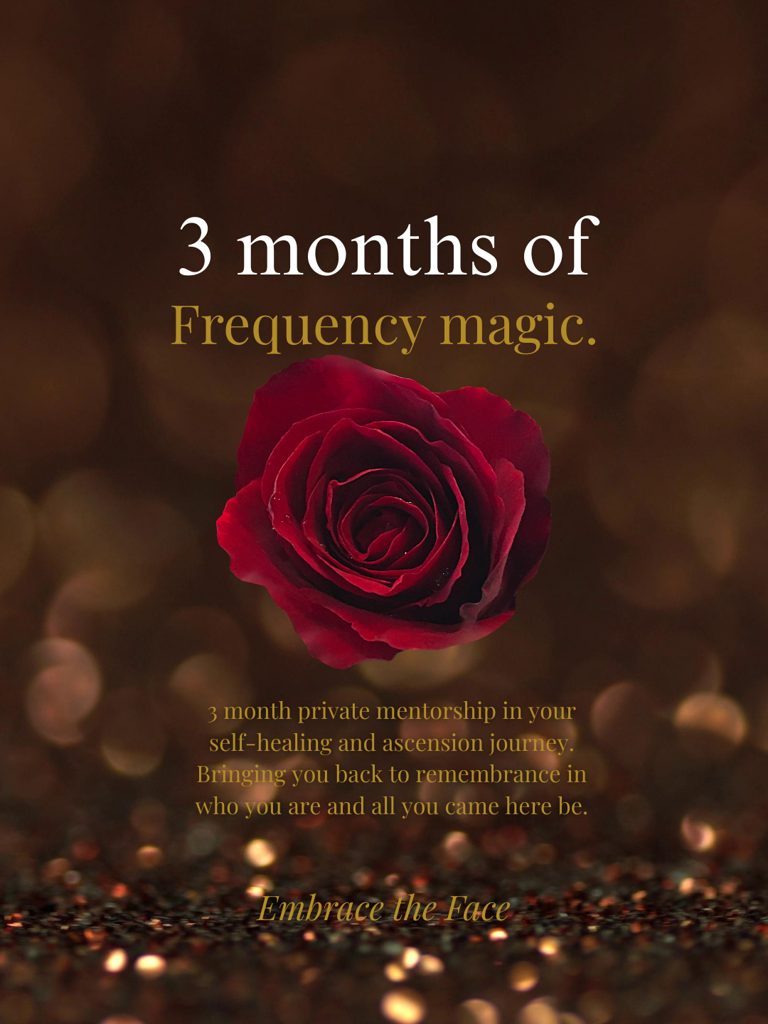 3 Month Private Mentorship