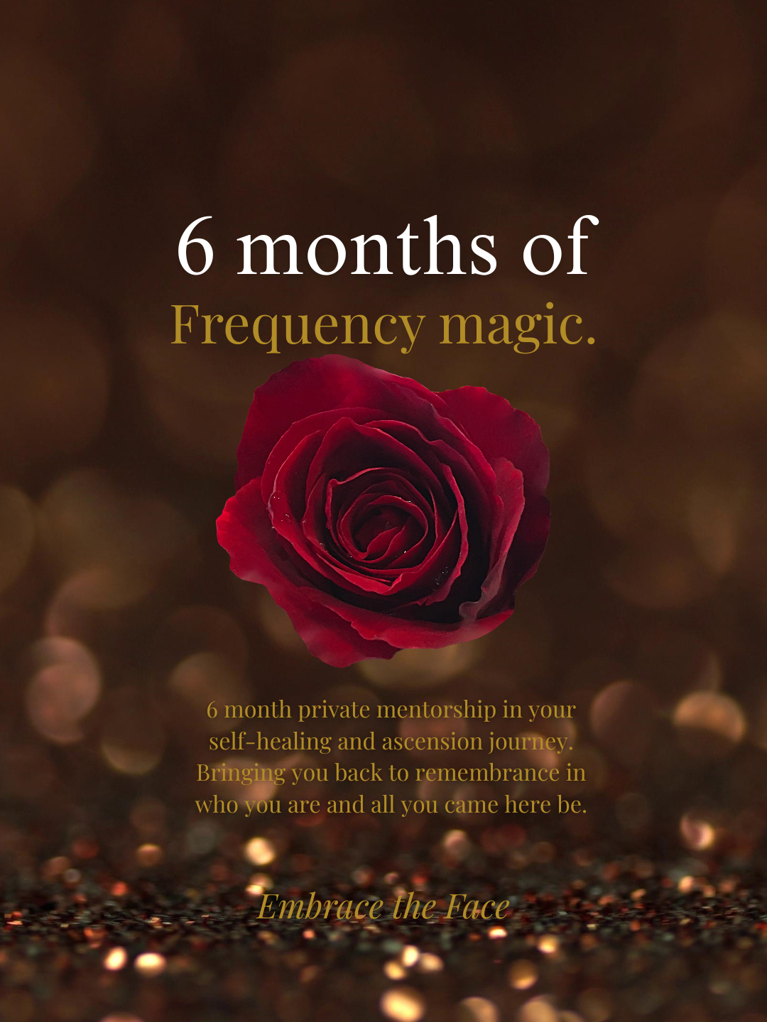 6 Month Private Mentorship