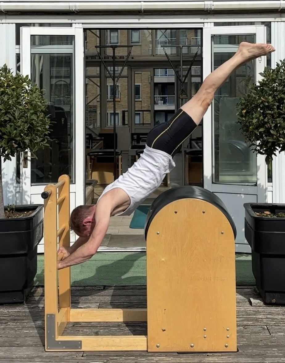 A person performing a forearm plank with their legs elevated on a padded exercise piece outdoors on a wooden deck, flanked by two potted bushes, with a background of glass doors and apartment buildings.