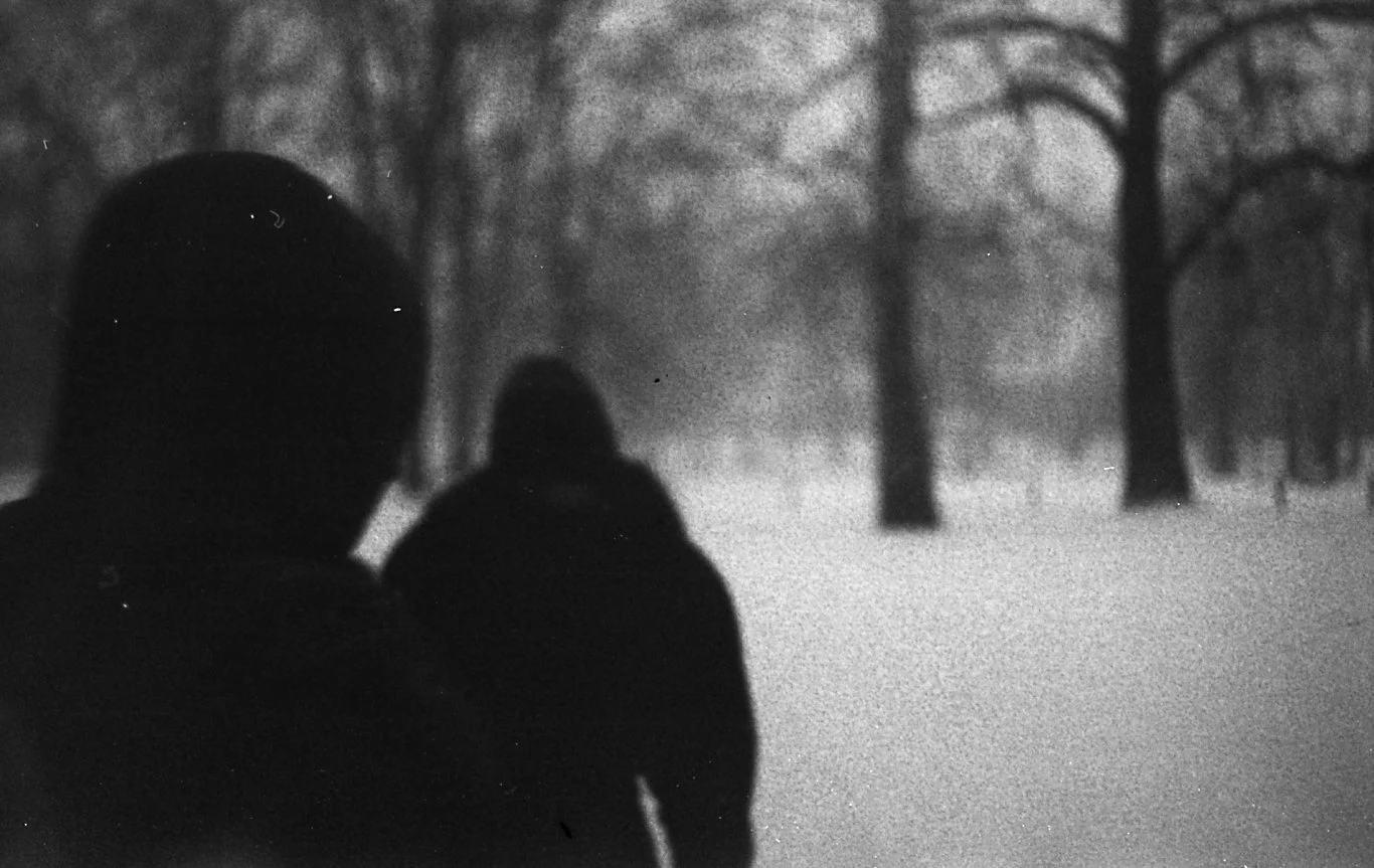 Silhouettes of two people walking in a snowy park with bare trees, in black and white.