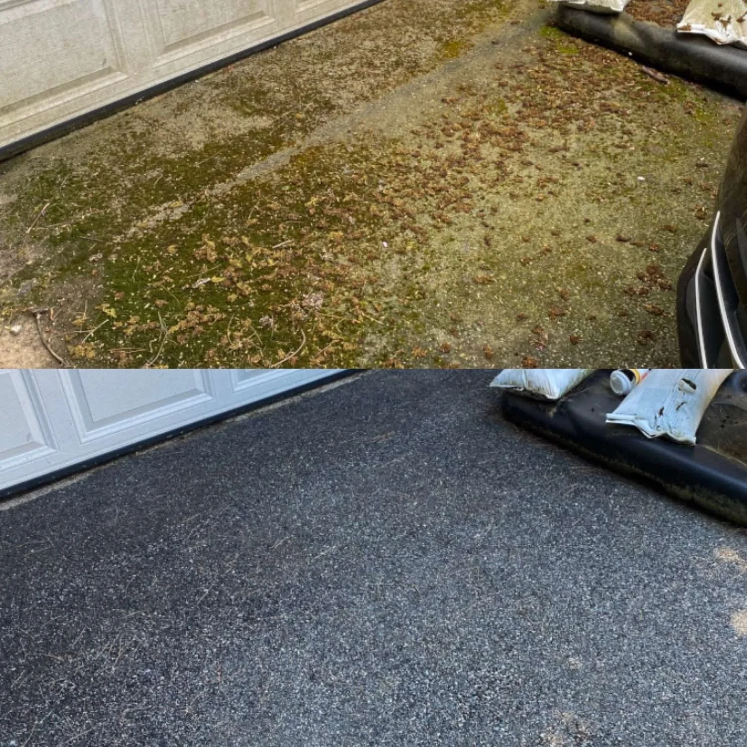 Moss Removal - Pavement