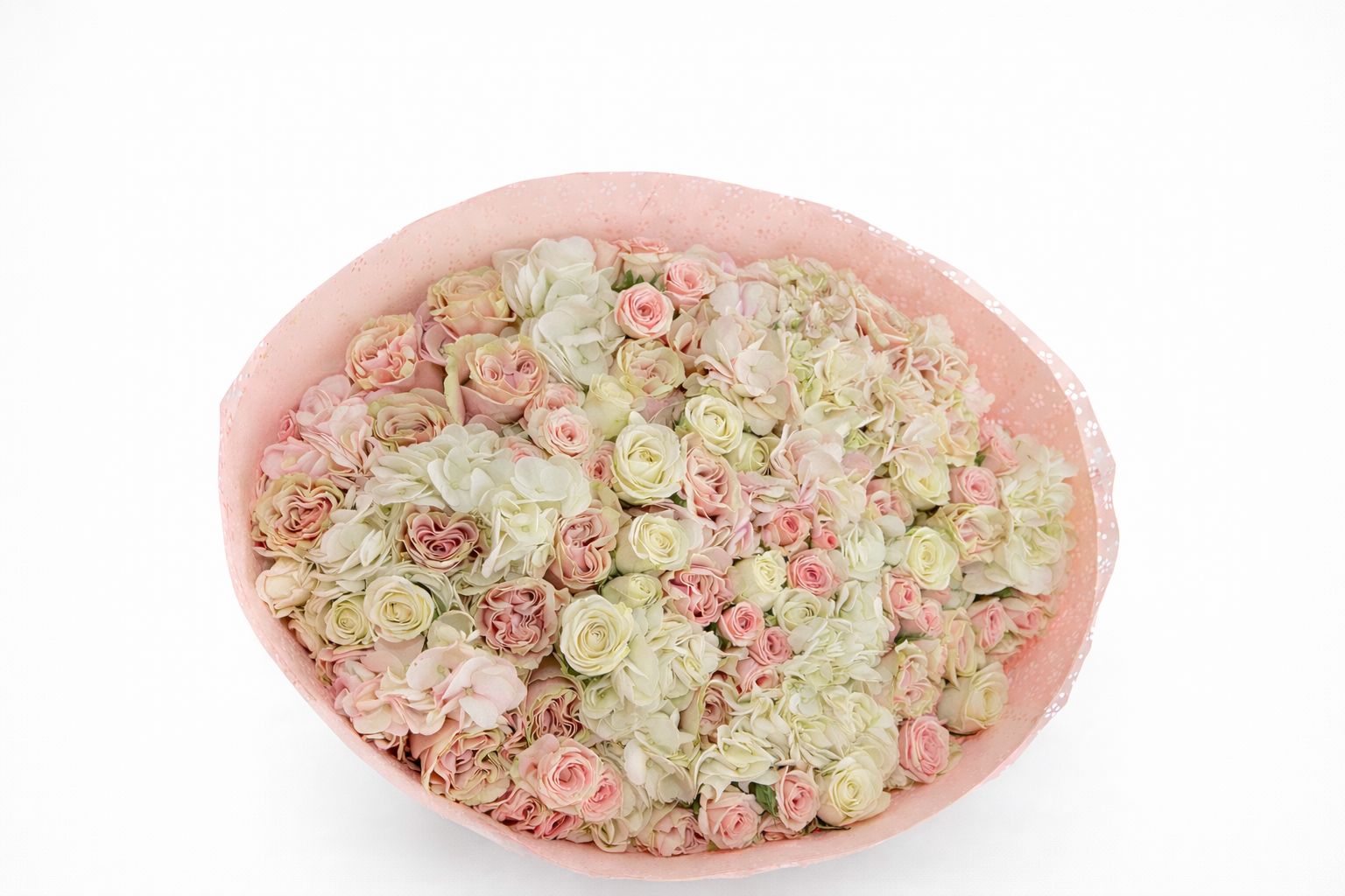 ChatGPT Image Jan 12, 2026, 01_00_41 PM.png