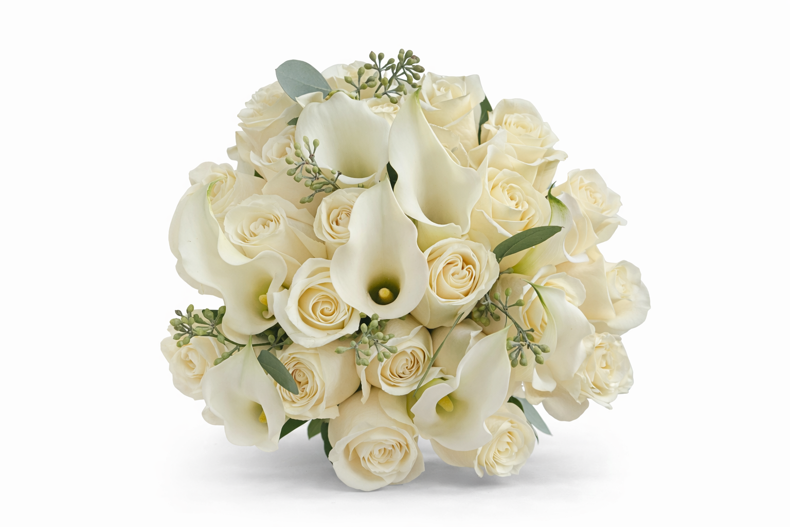 ChatGPT Image Jan 12, 2026, 01_36_40 PM.png