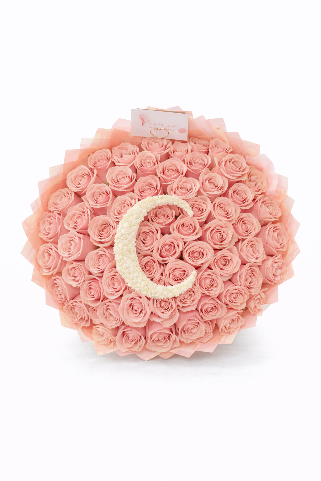 ChatGPT Image Jan 12, 2026, 03_12_29 PM.png