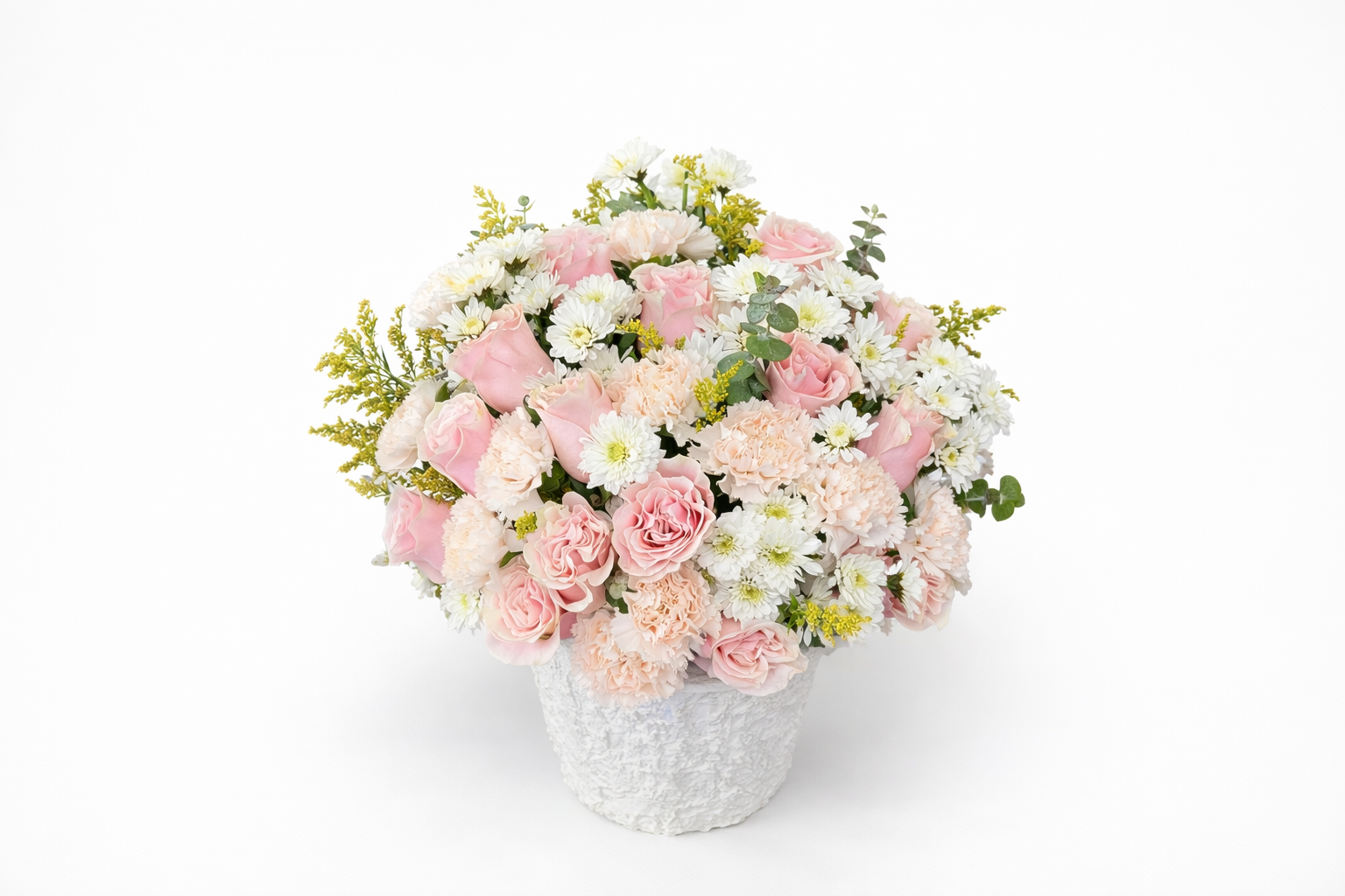 ChatGPT Image Jan 12, 2026, 12_54_38 PM.png