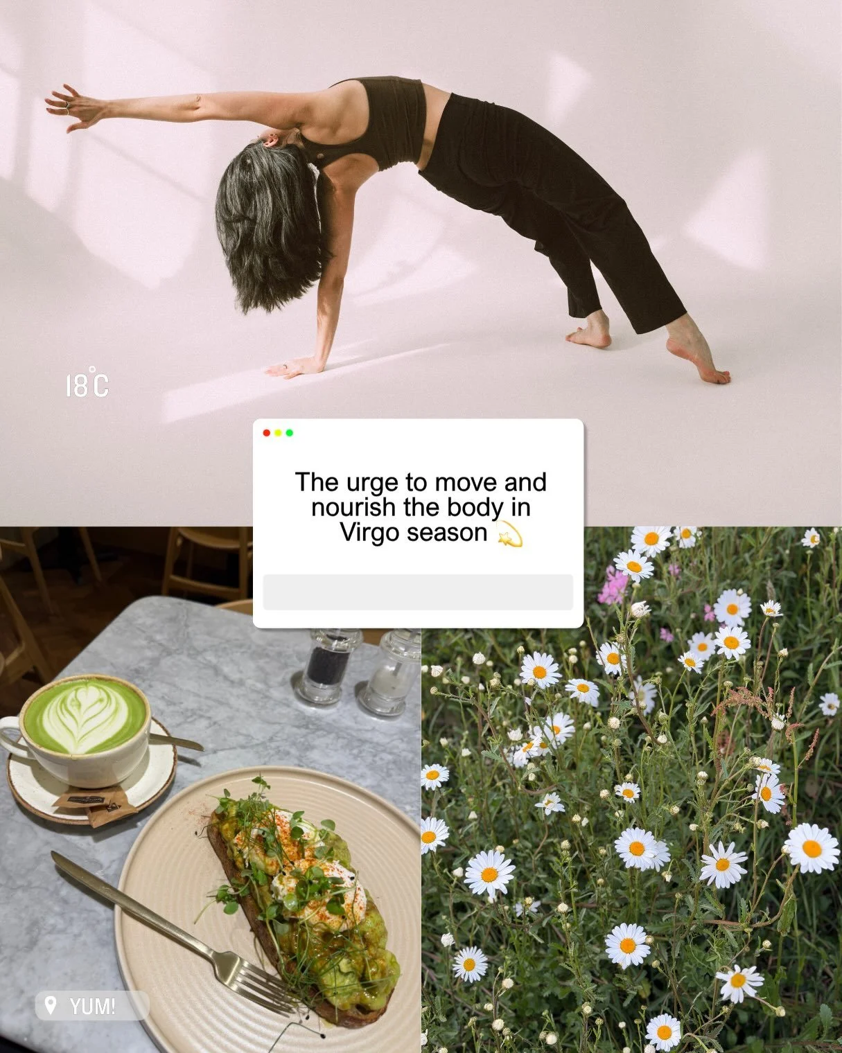 September Feels.

Slow mornings, warm teas, new notebooks, late summer fruit, sandalwood incense, movement, meditation and getting stuck into new things.

After the wildness of summer, September feels like coming home to myself.

What&rsquo;s on your