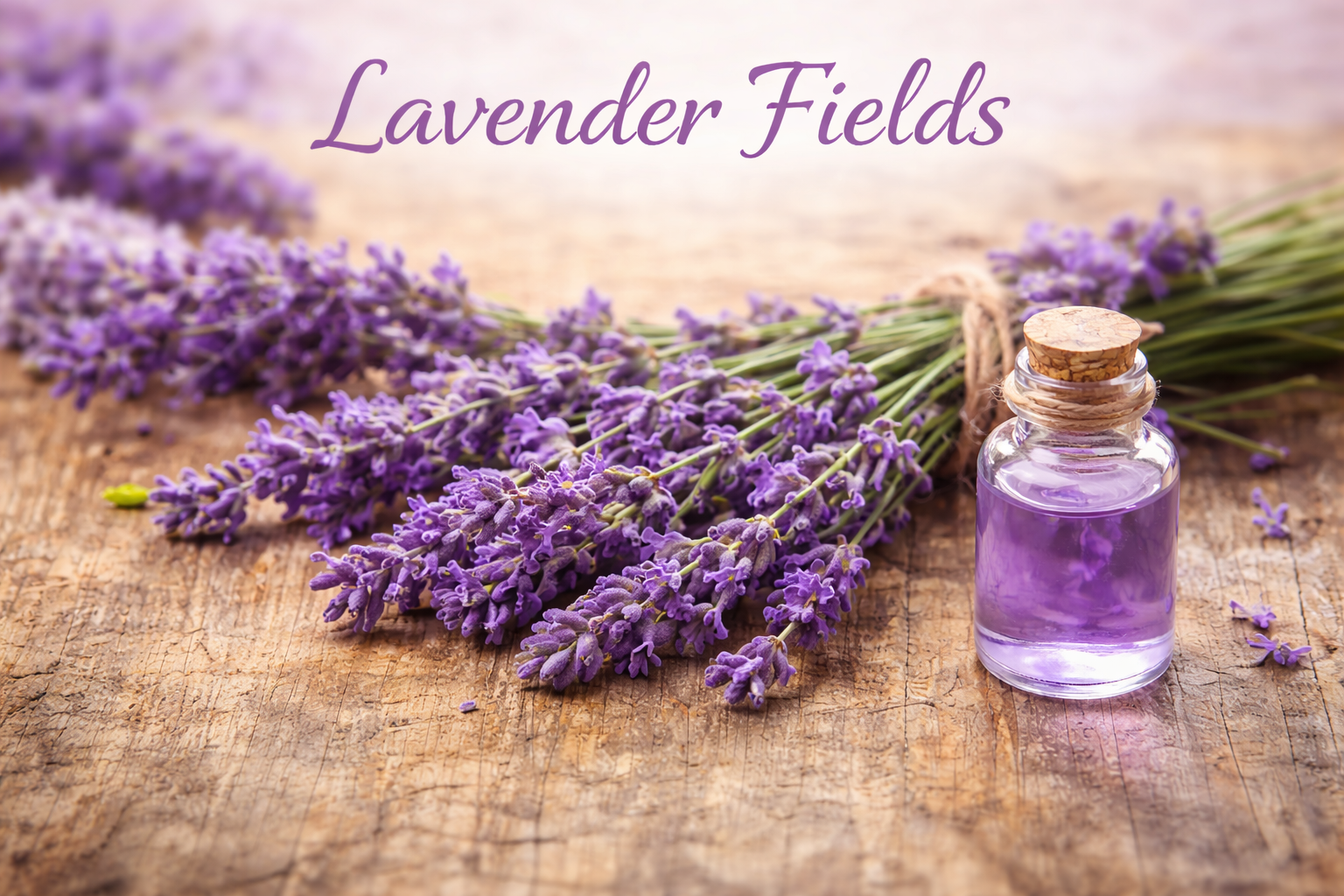 Lavender Fields Image.png