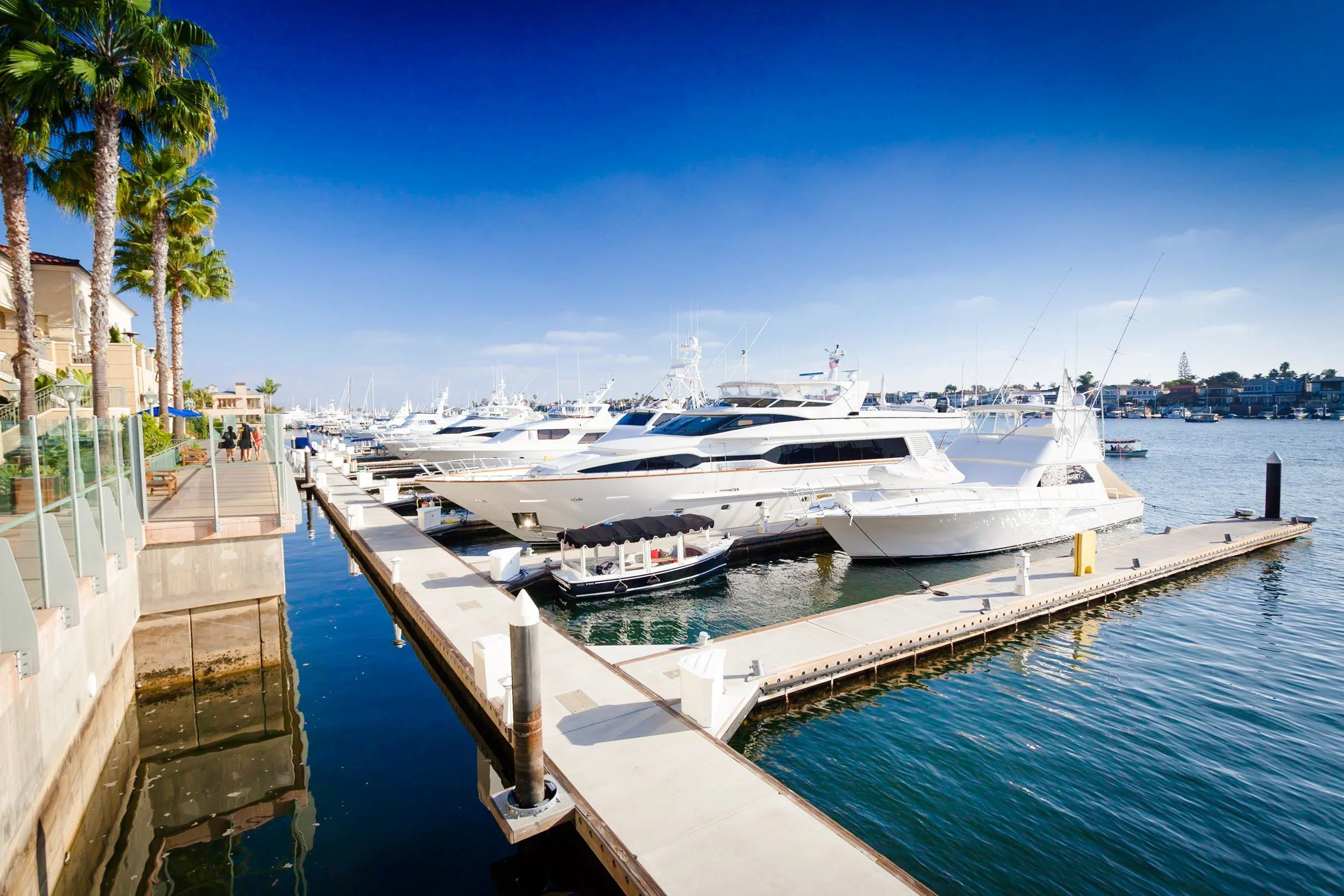 A marina with luxury yachts docked along a pier, clear blue sky, palm trees on the left, and residential buildings in the background.