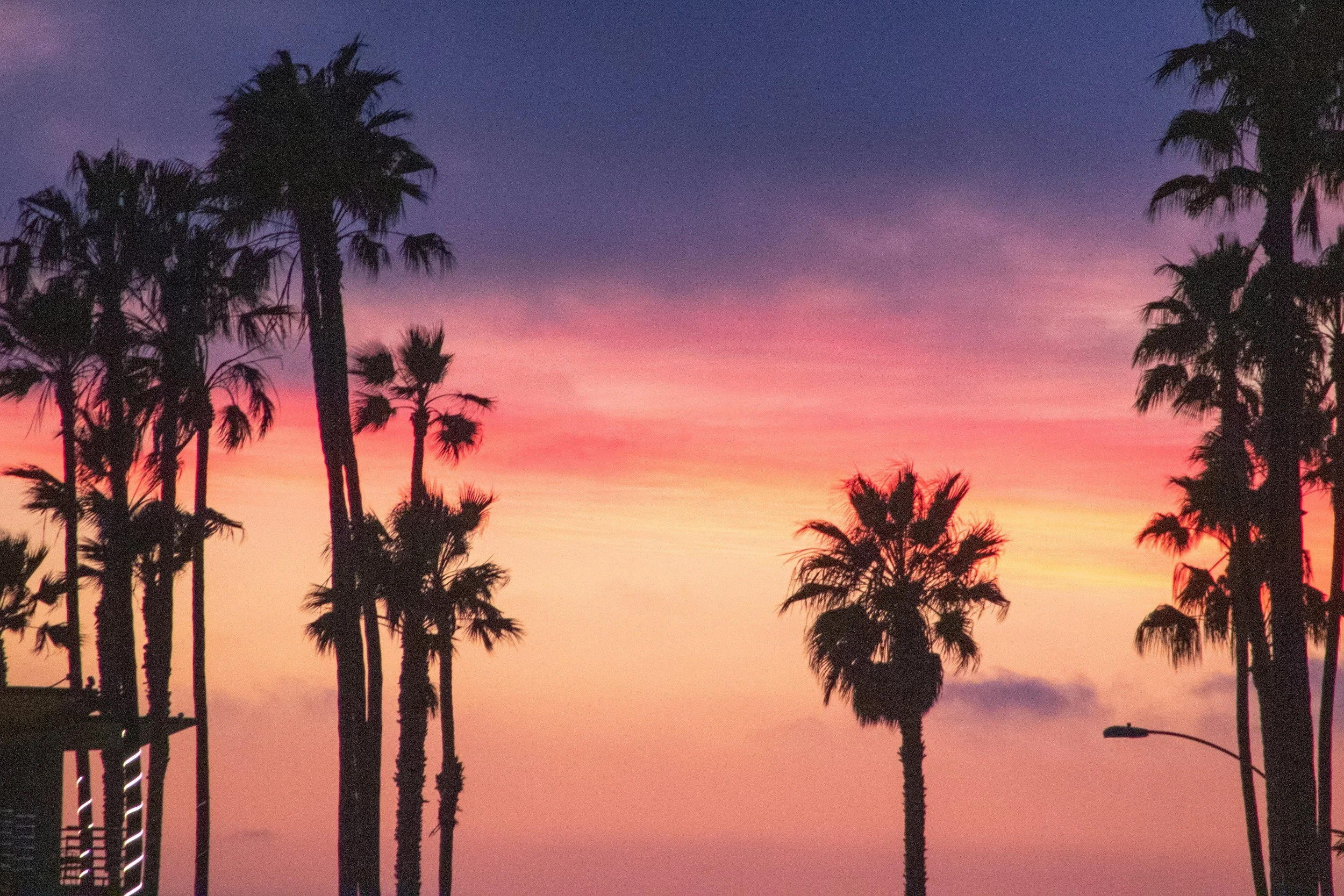 Silhouettes of palm trees against a colorful sunset sky with shades of purple, pink, and orange.