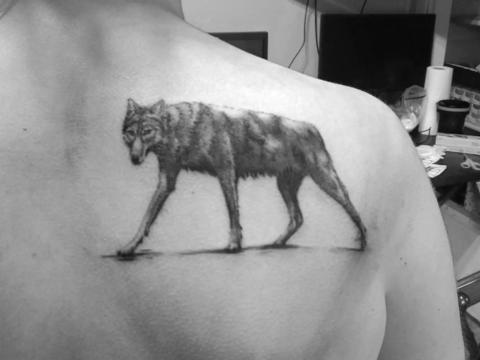 Tattoo of a wolf on a person's shoulder in black and white.