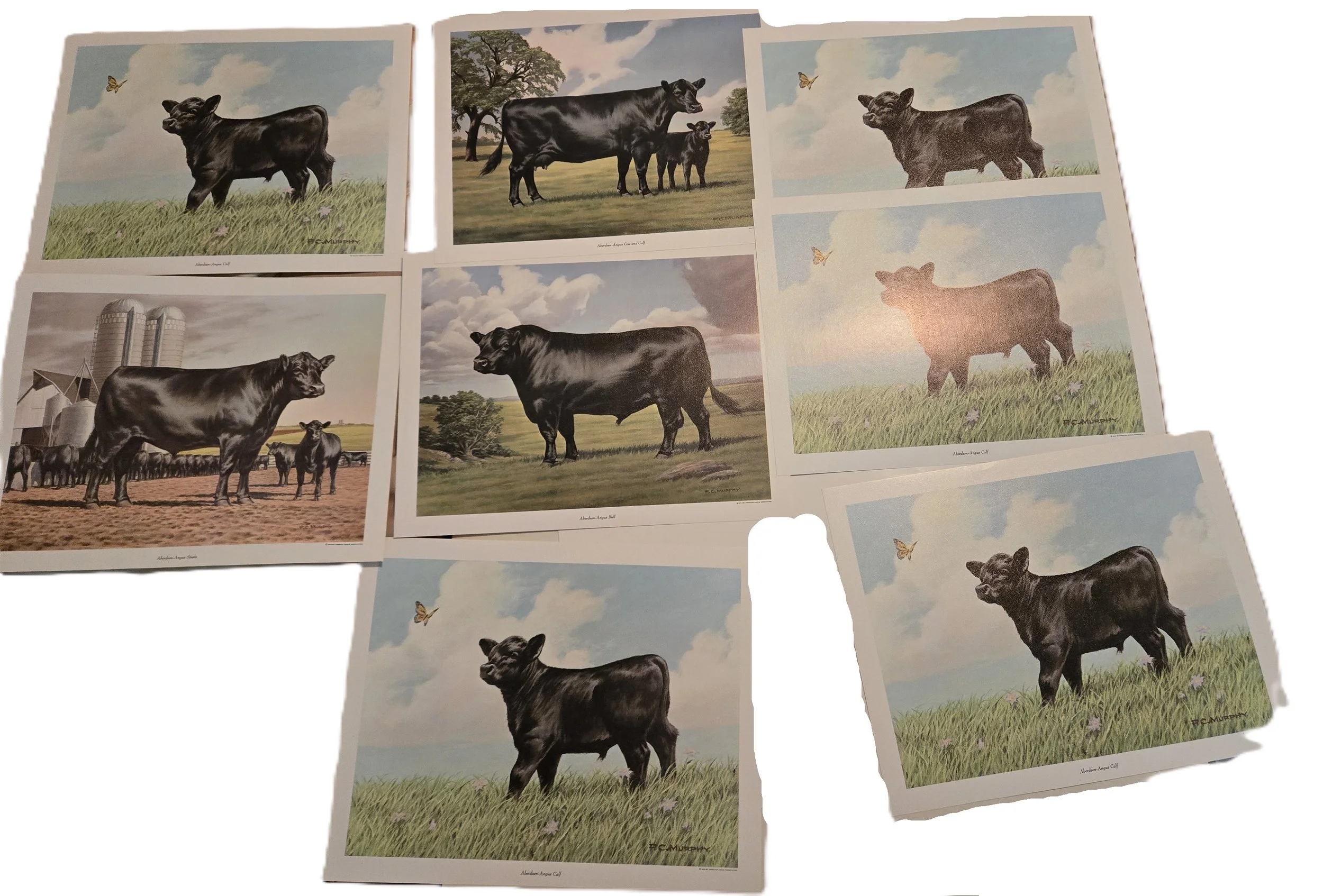 Cow Prints.jpg