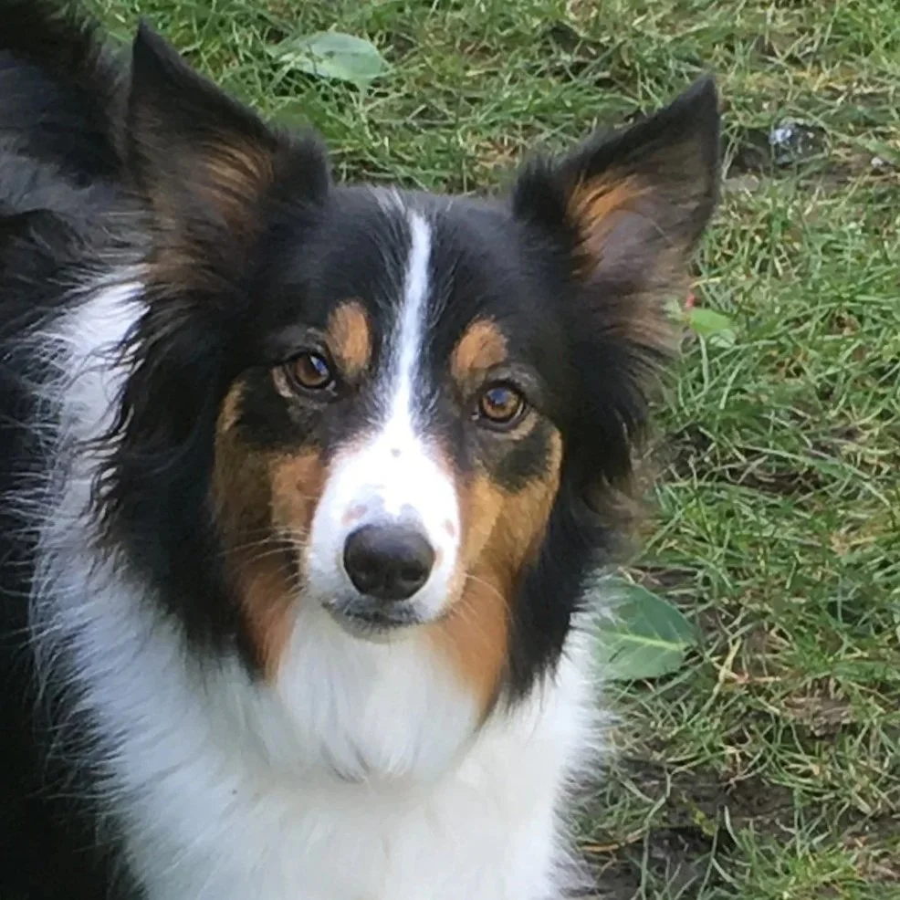 STick1.jpg