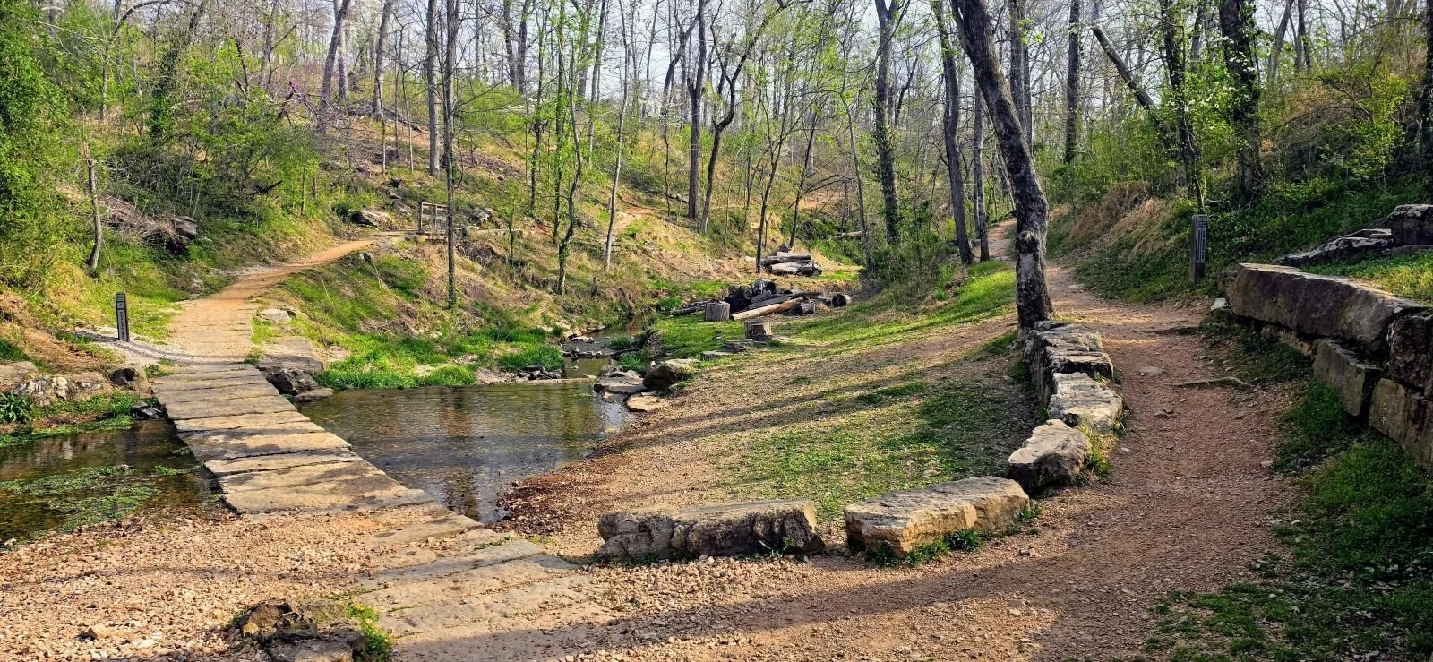 A view of Black Apple Creek in Burns Arboretum.