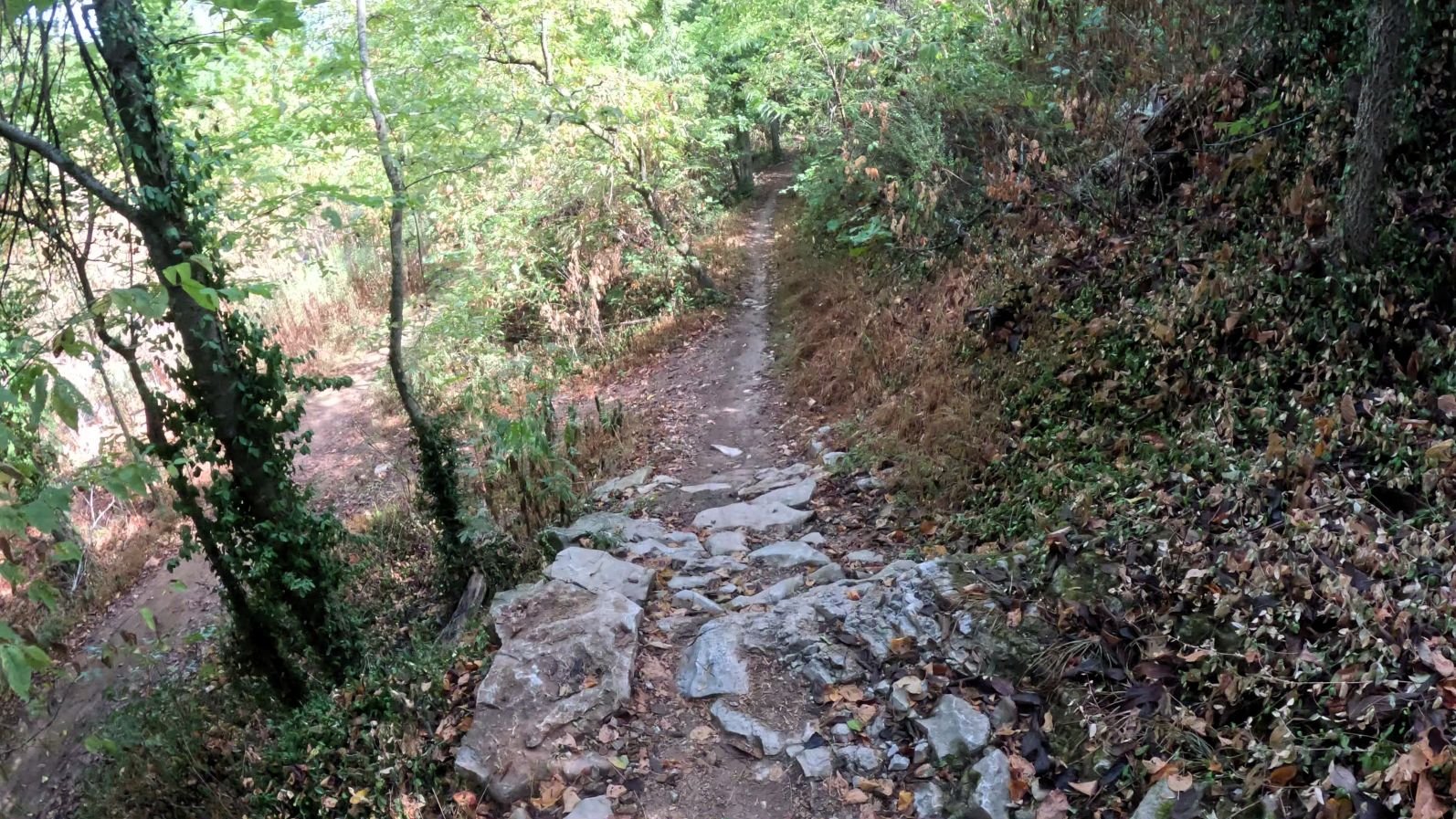 A section of trail showing a steep descent through a small rock covered section of trail.