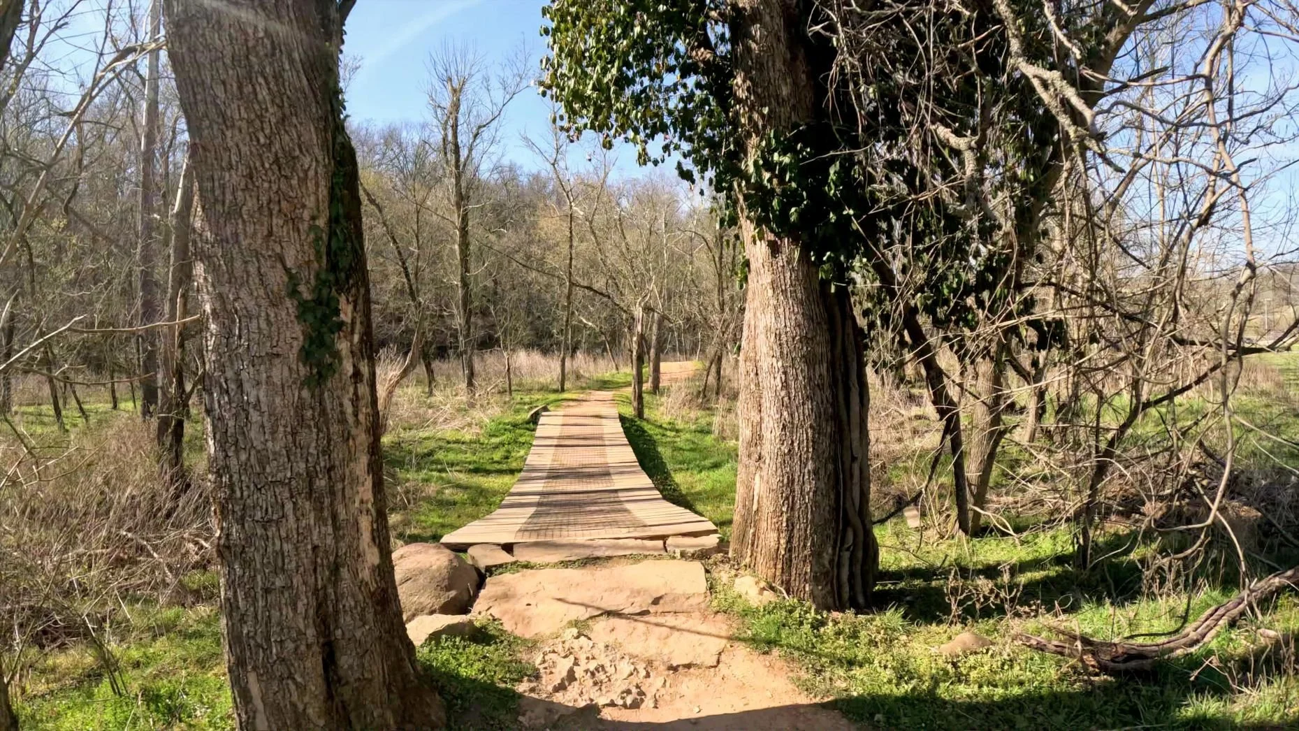 A picture of a wooden bridge before All American winds between some big trees